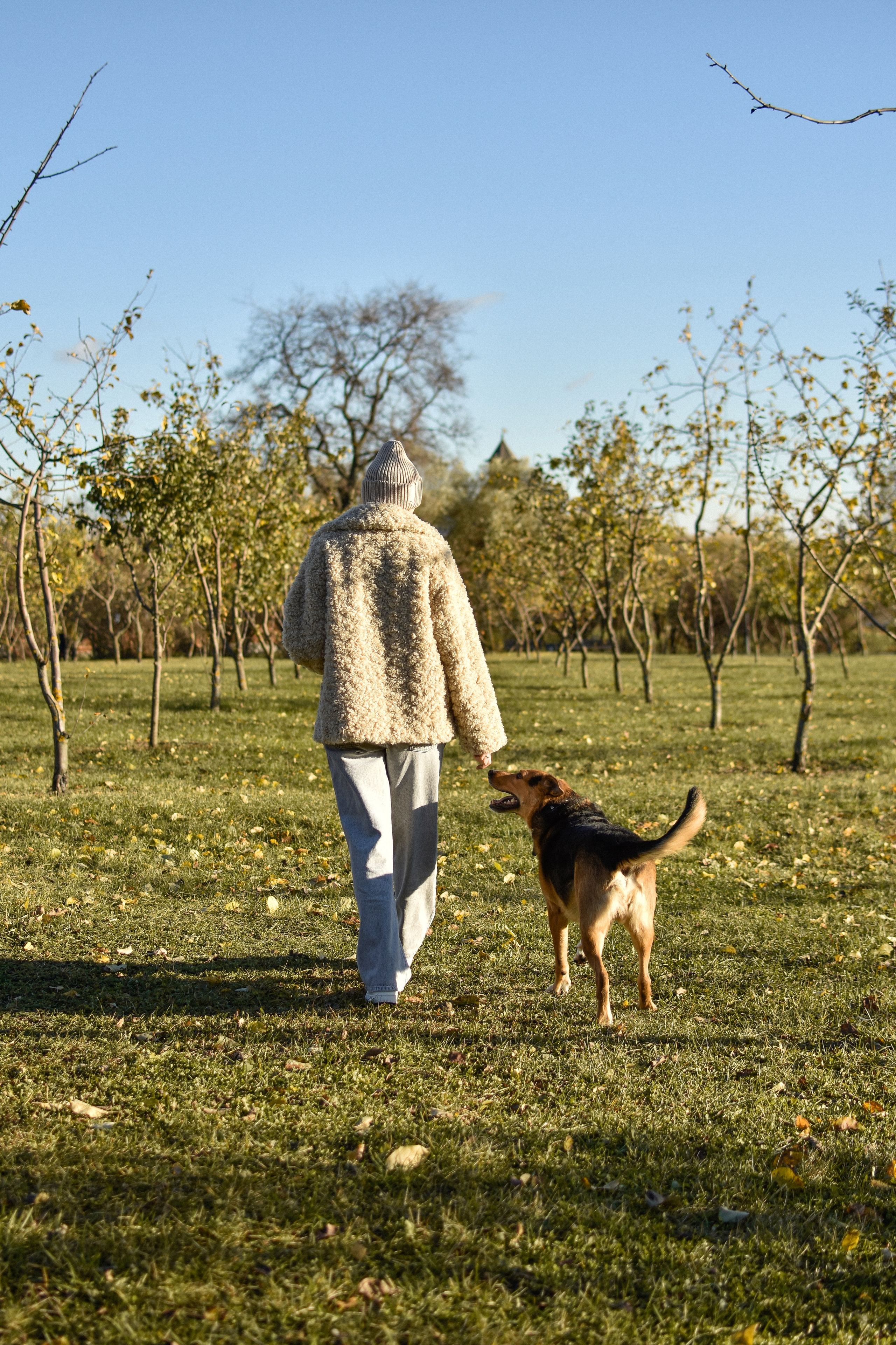 Ричард и Алёна. Фотограф-анималист Ксения Шевцова|Москва