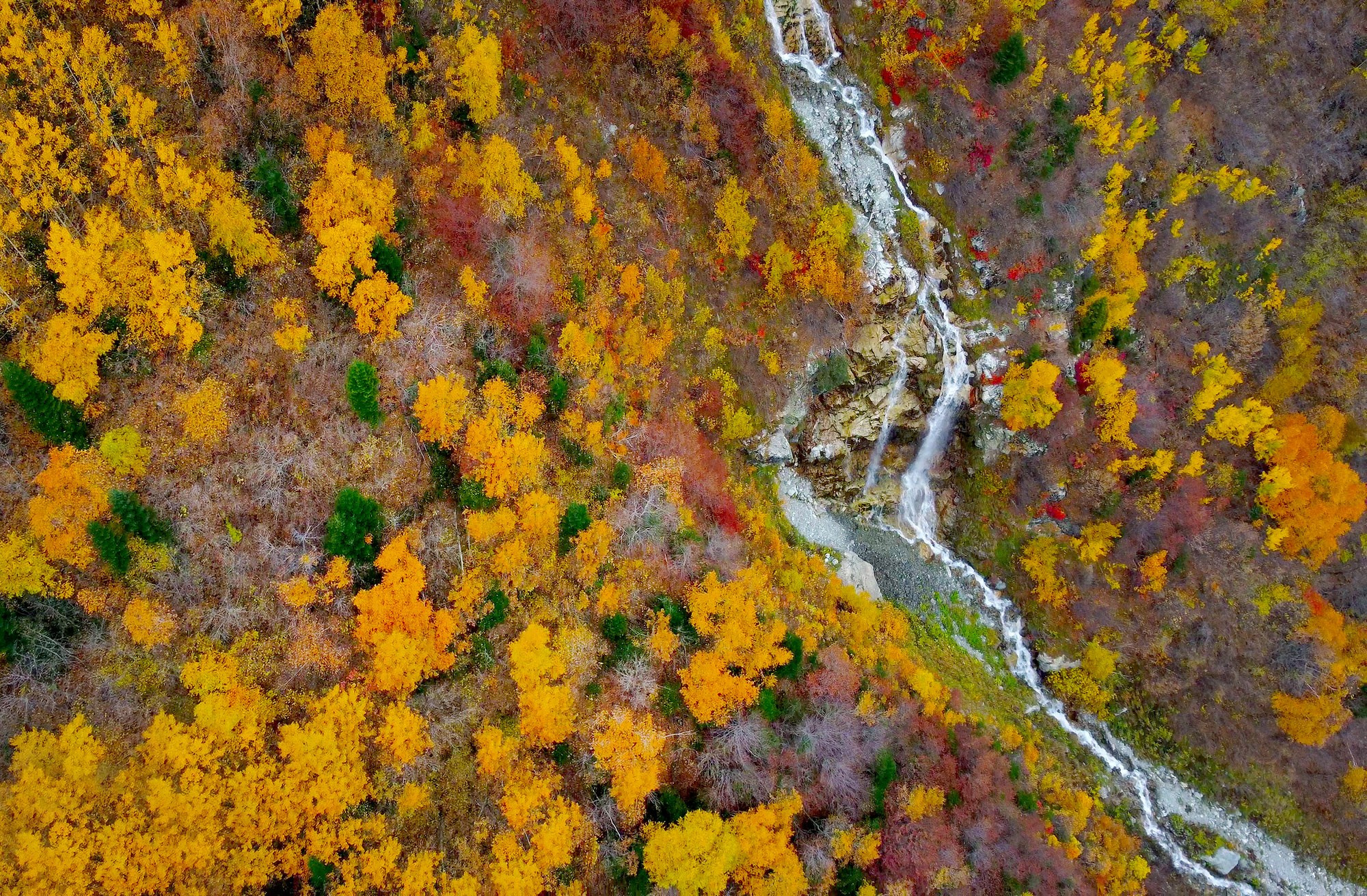 Свадебный фотограф в Геленджике