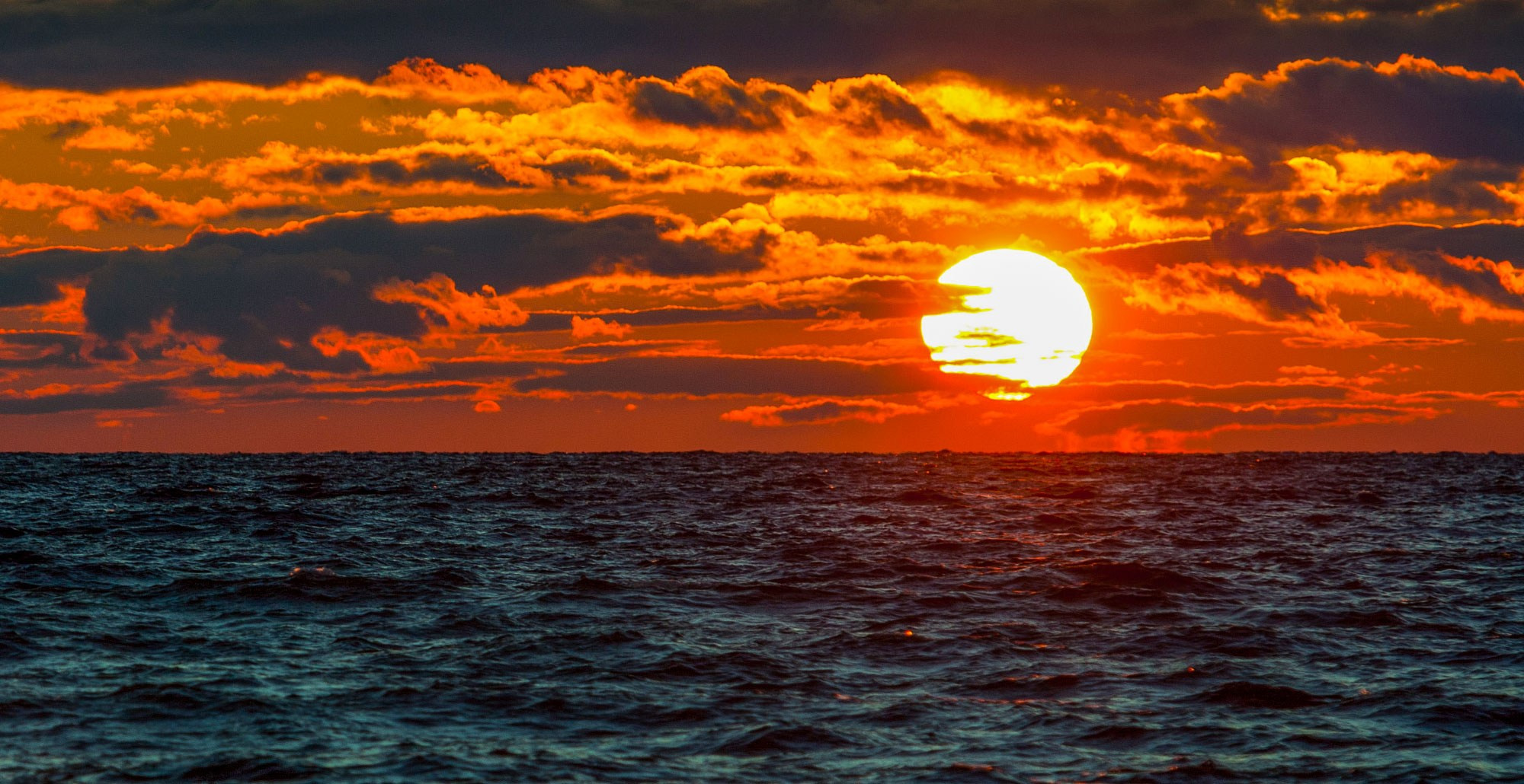 Свадебный фотограф в Геленджике