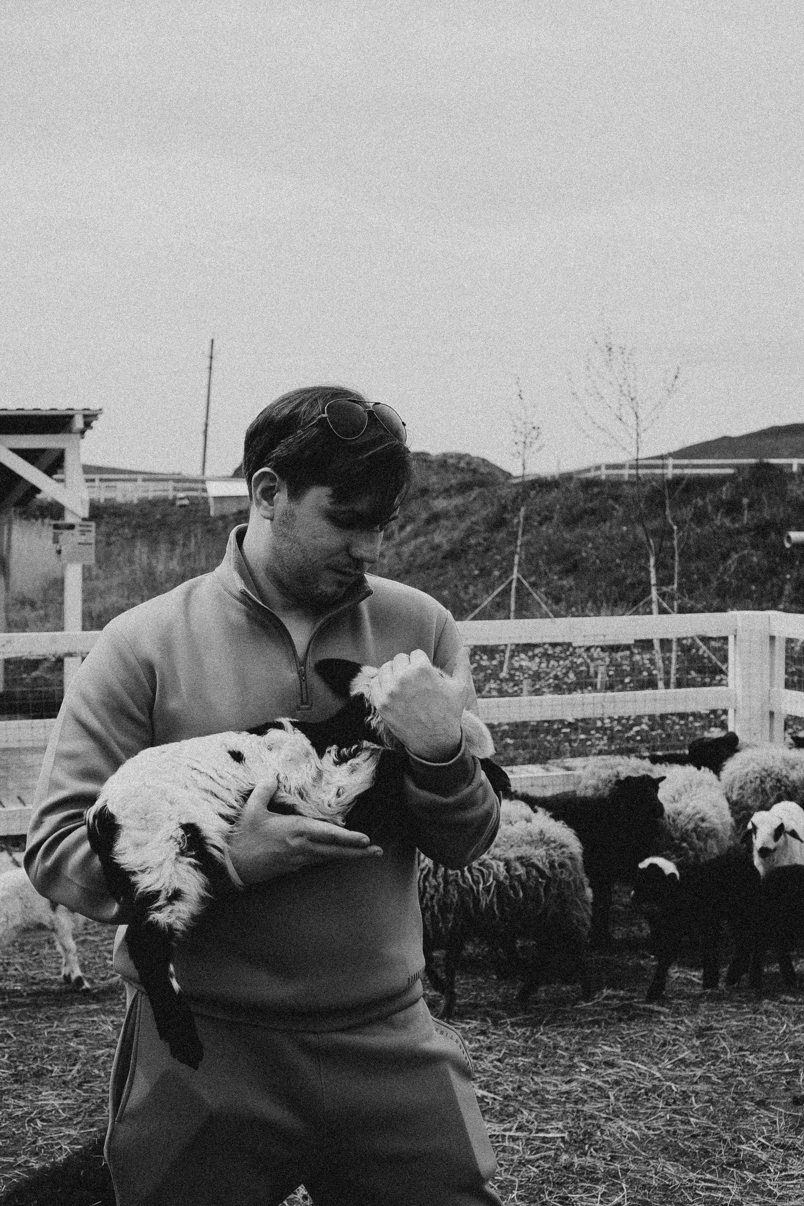 Ферма Альпак. Профессиональный фотограф, Санкт-Петербург — Виктория Богомолова