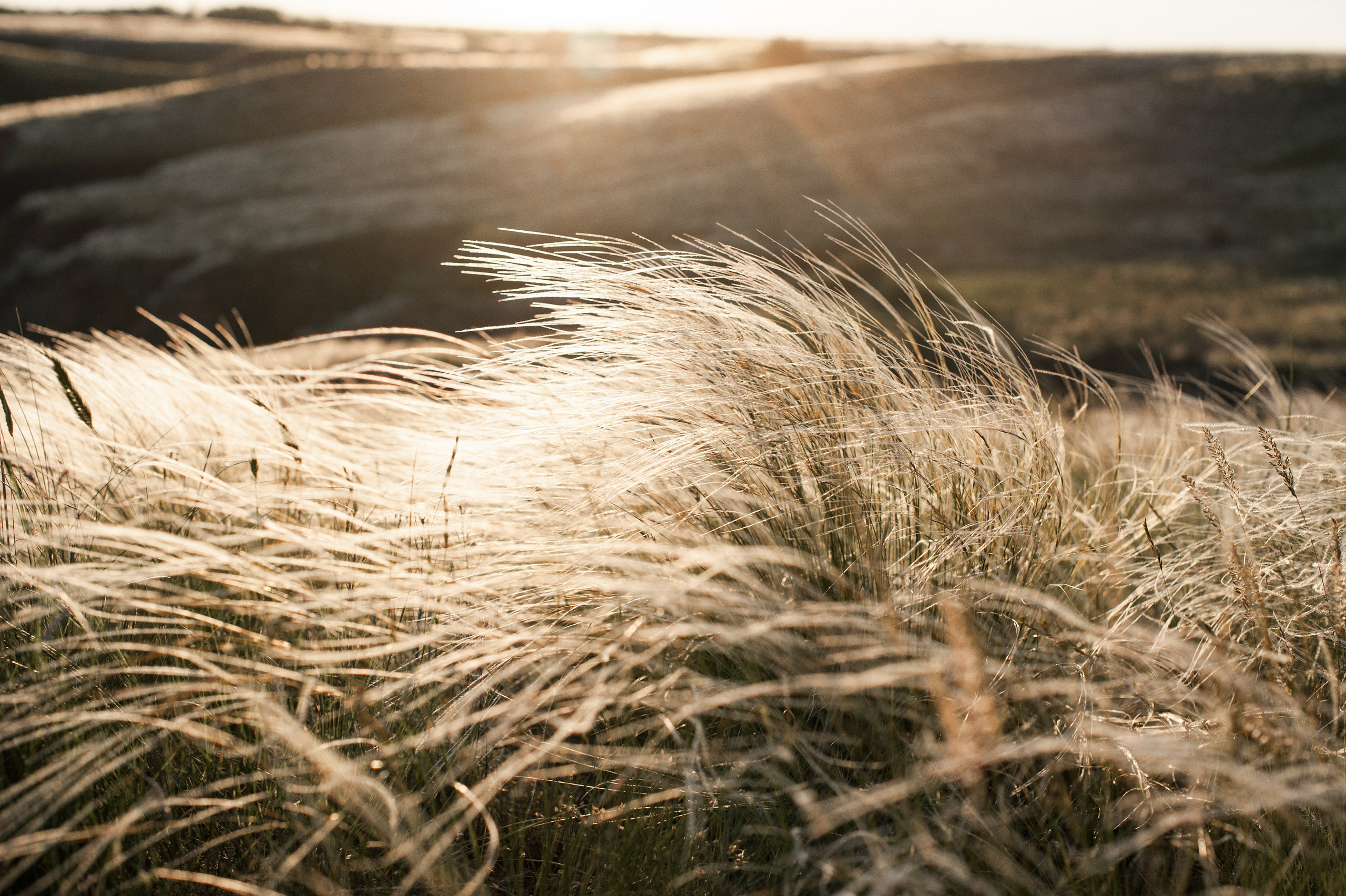 Сестры. Www.ostermiller.ru