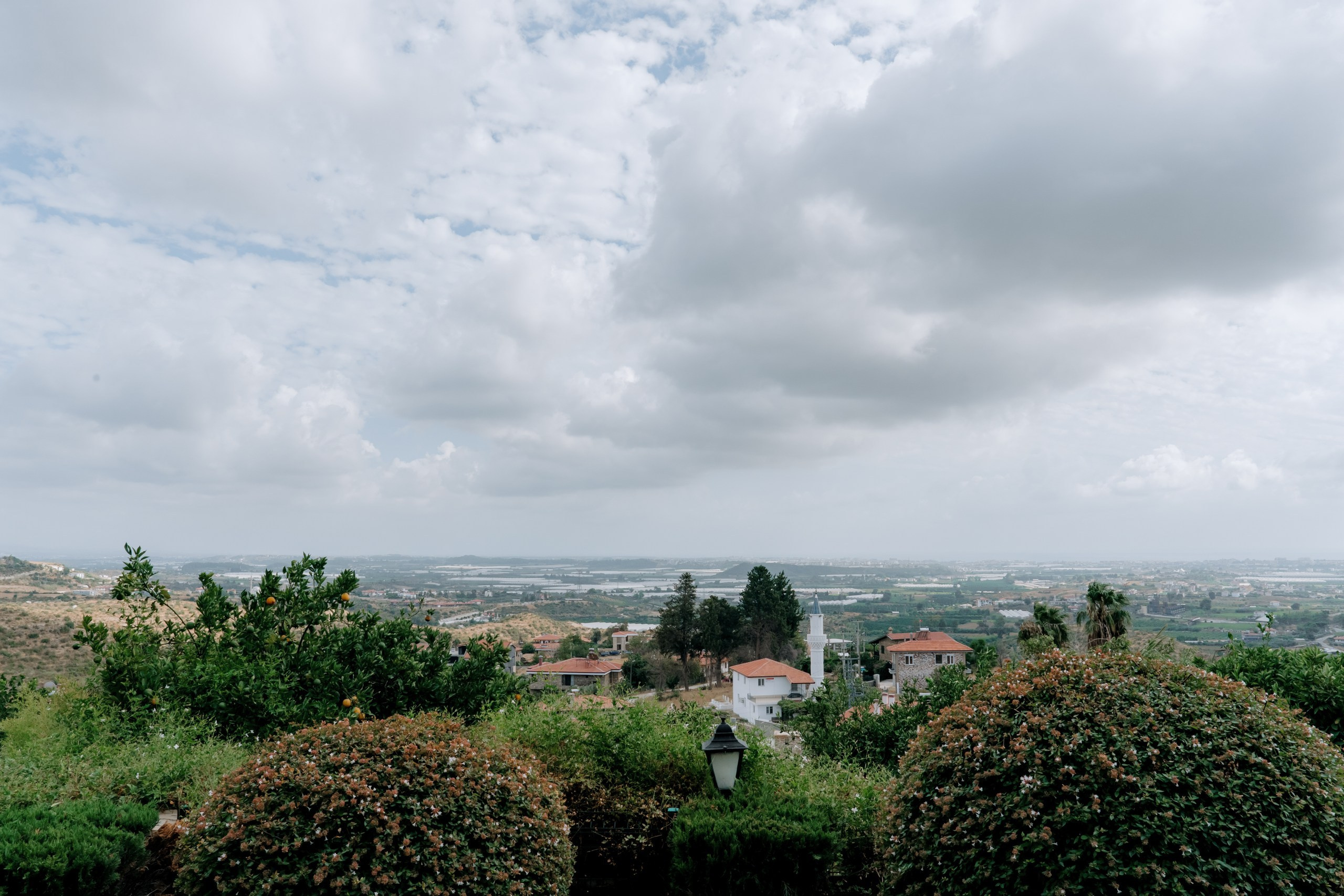Where tulips meet birch trees. Wedding & Documentary Photographer based in Nuremberg — available across Europe & Turkey | Vitalii Nasonov