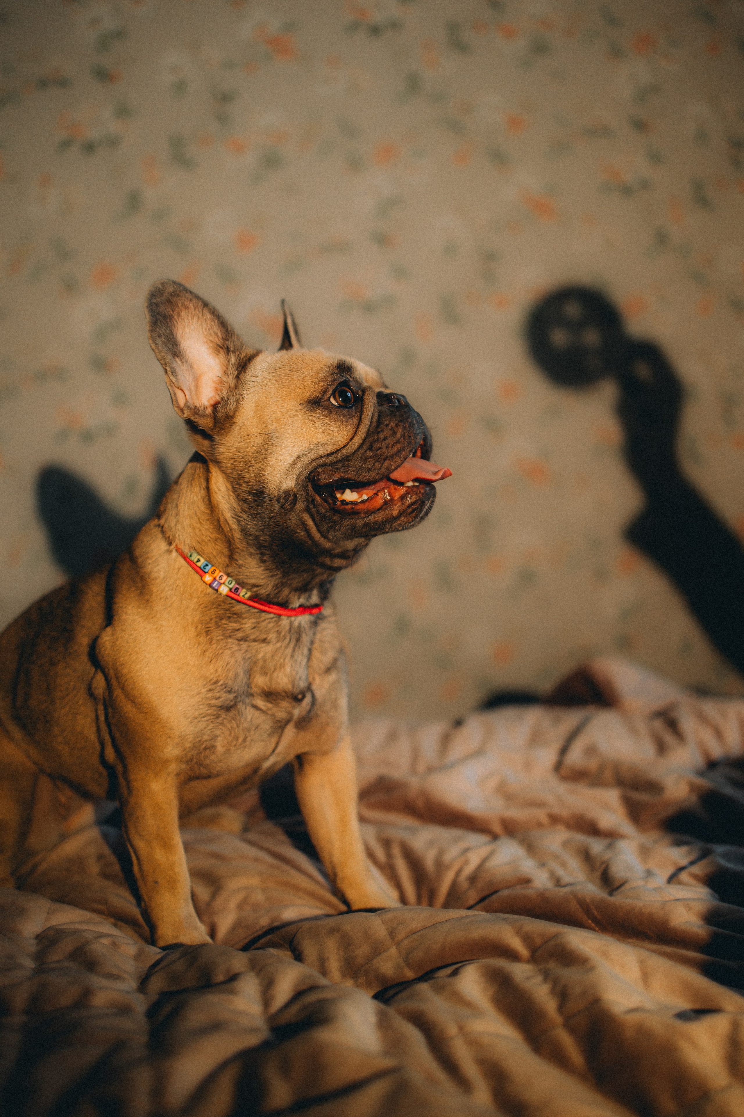 Юля, Мия и Зек