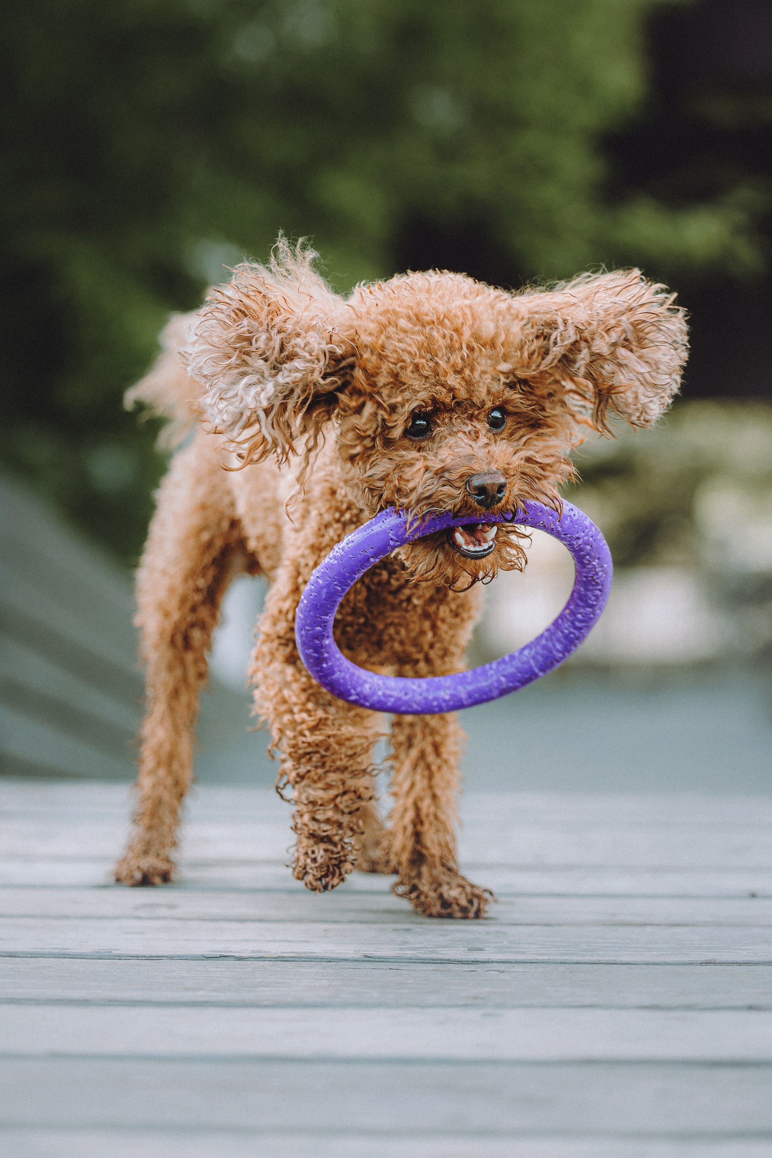 Марья и Буба