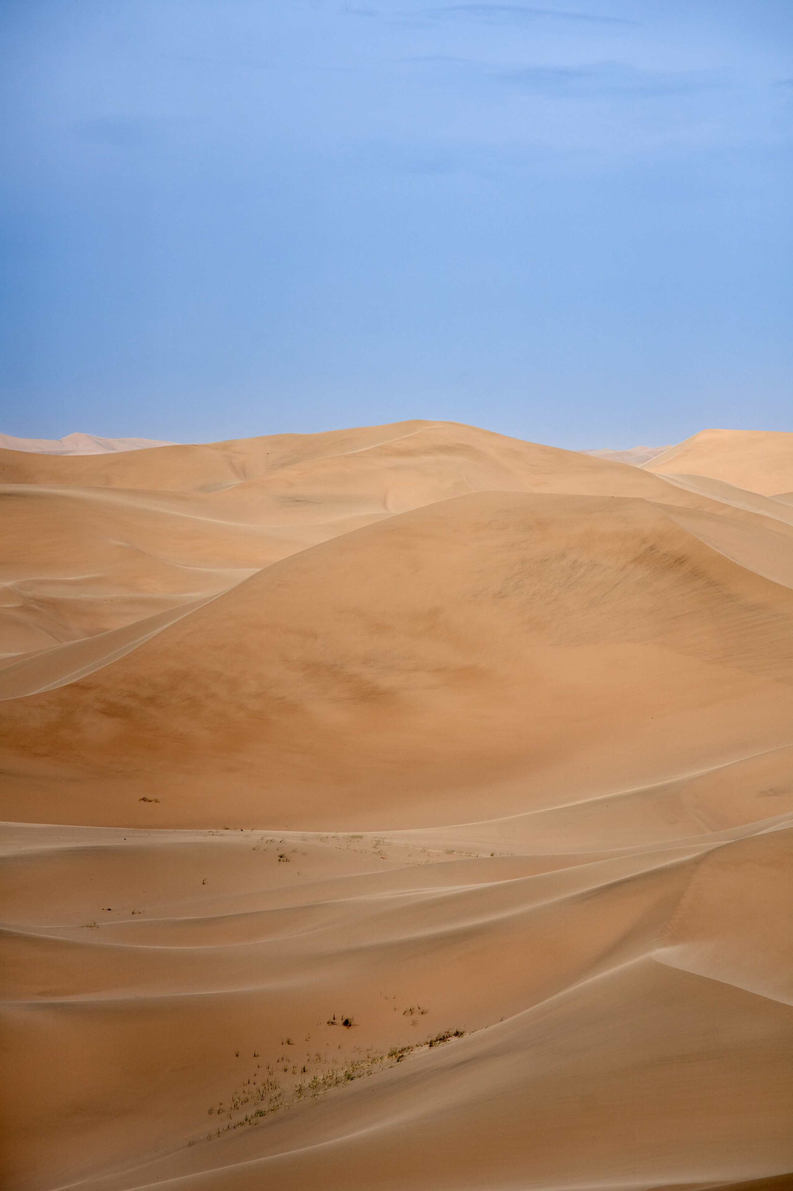 Природа. Василий Буйлов|Vasilii Builov