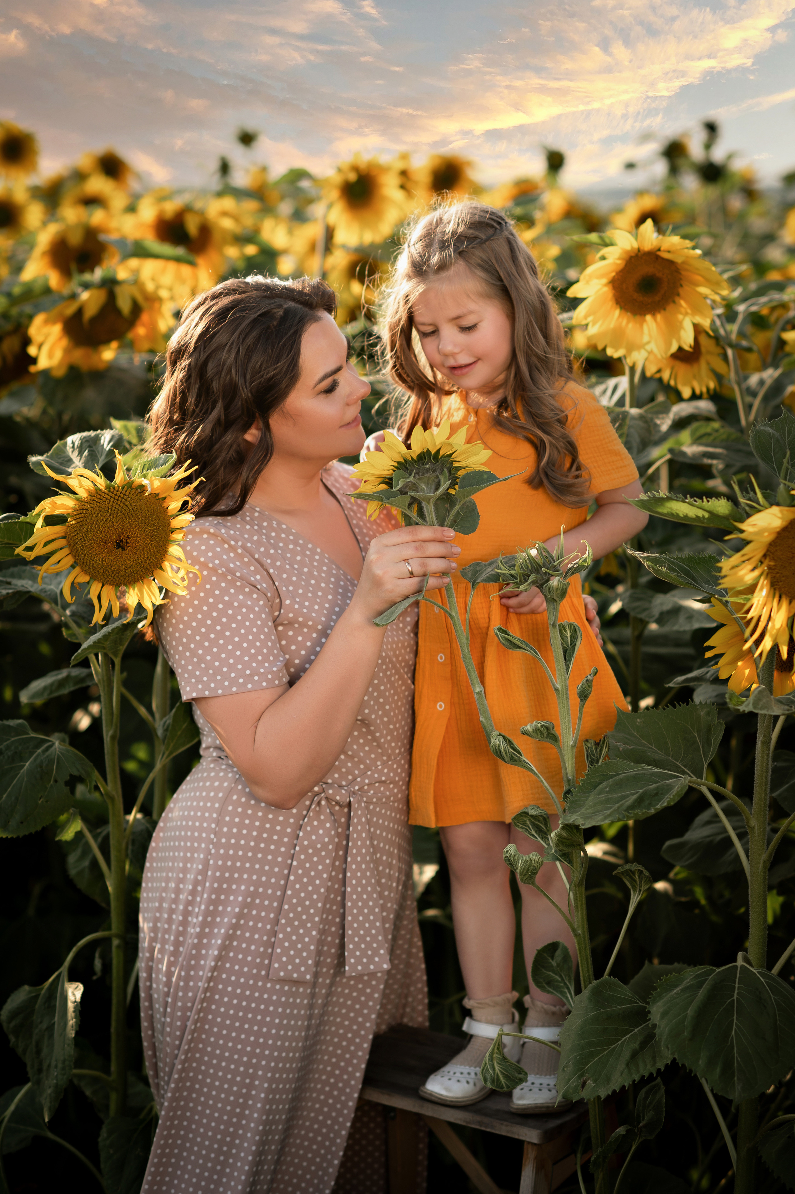 Солнечное настроение. Семейный фотограф в Красноярске Надежда Кошелева