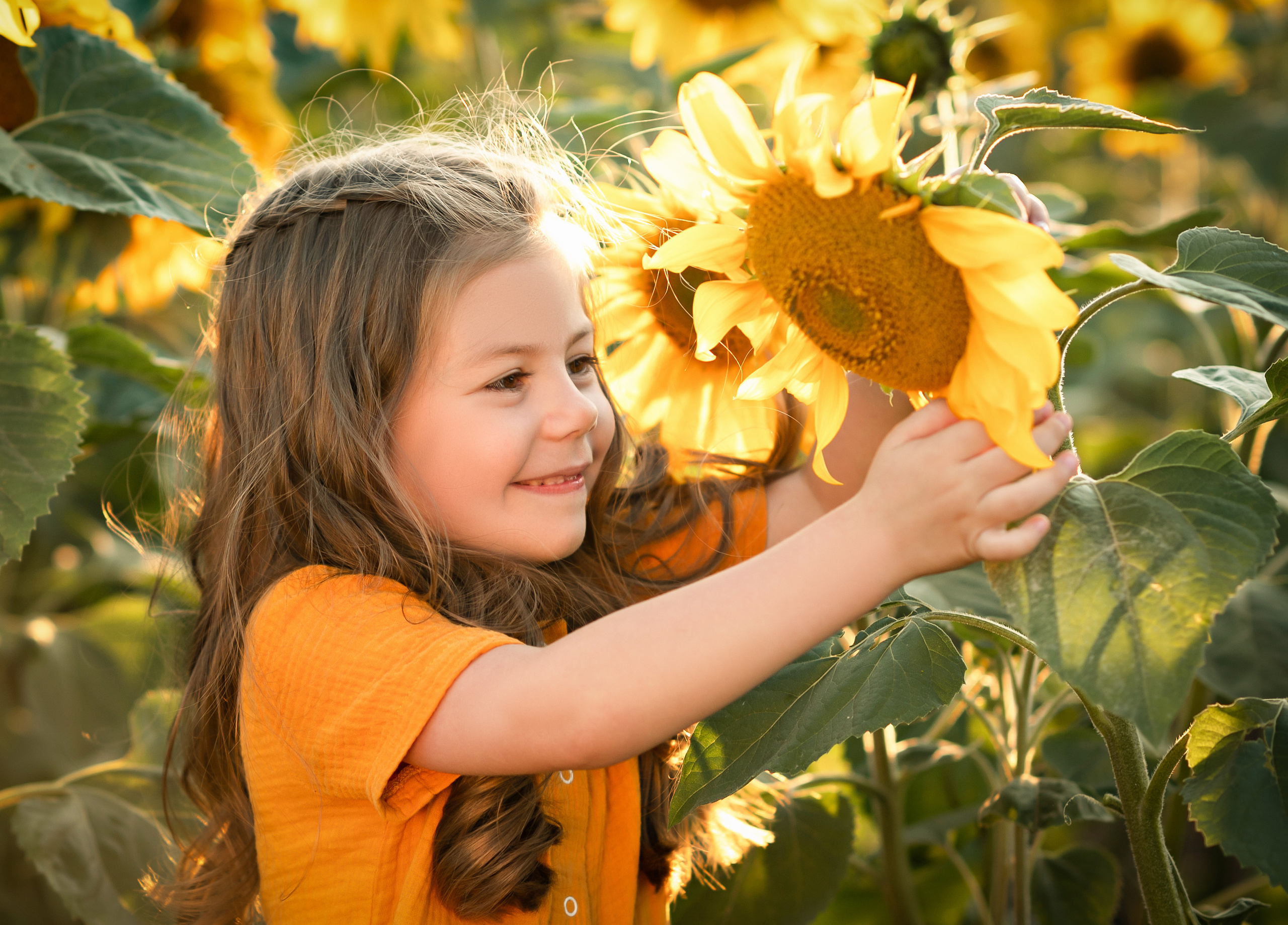 Солнечное настроение. Семейный фотограф в Красноярске Надежда Кошелева