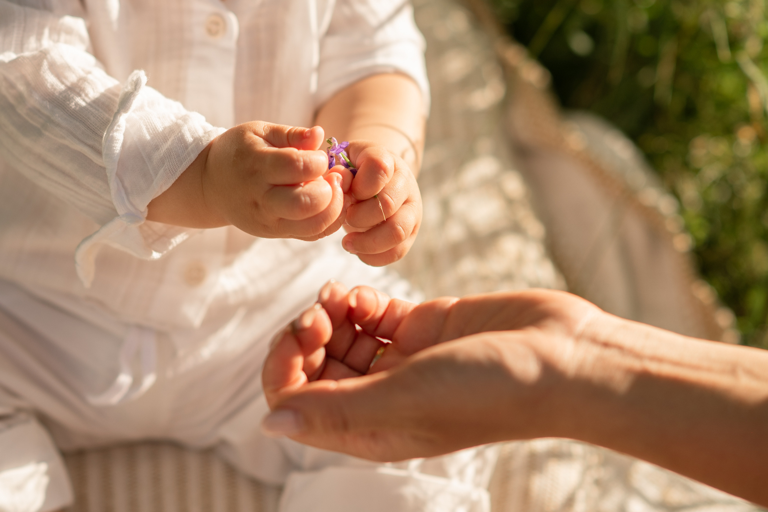 На острове Татышева. Семейный фотограф в Красноярске Надежда Кошелева