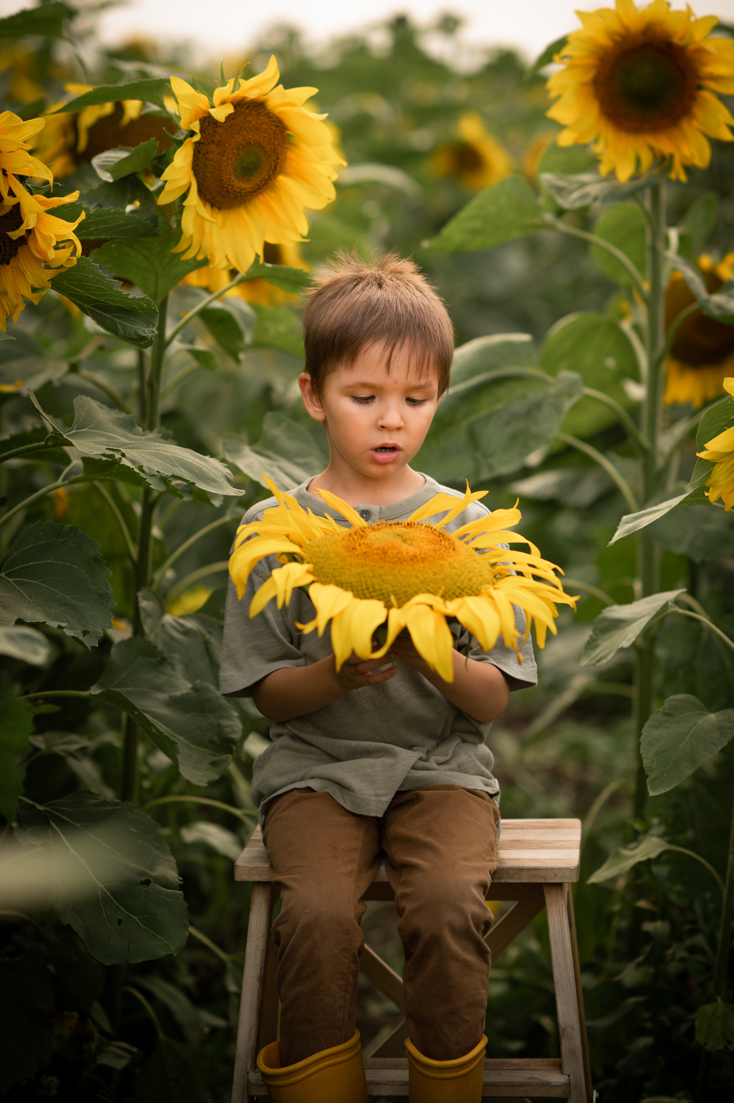 Детский портрет. Семейный фотограф в Красноярске Надежда Кошелева