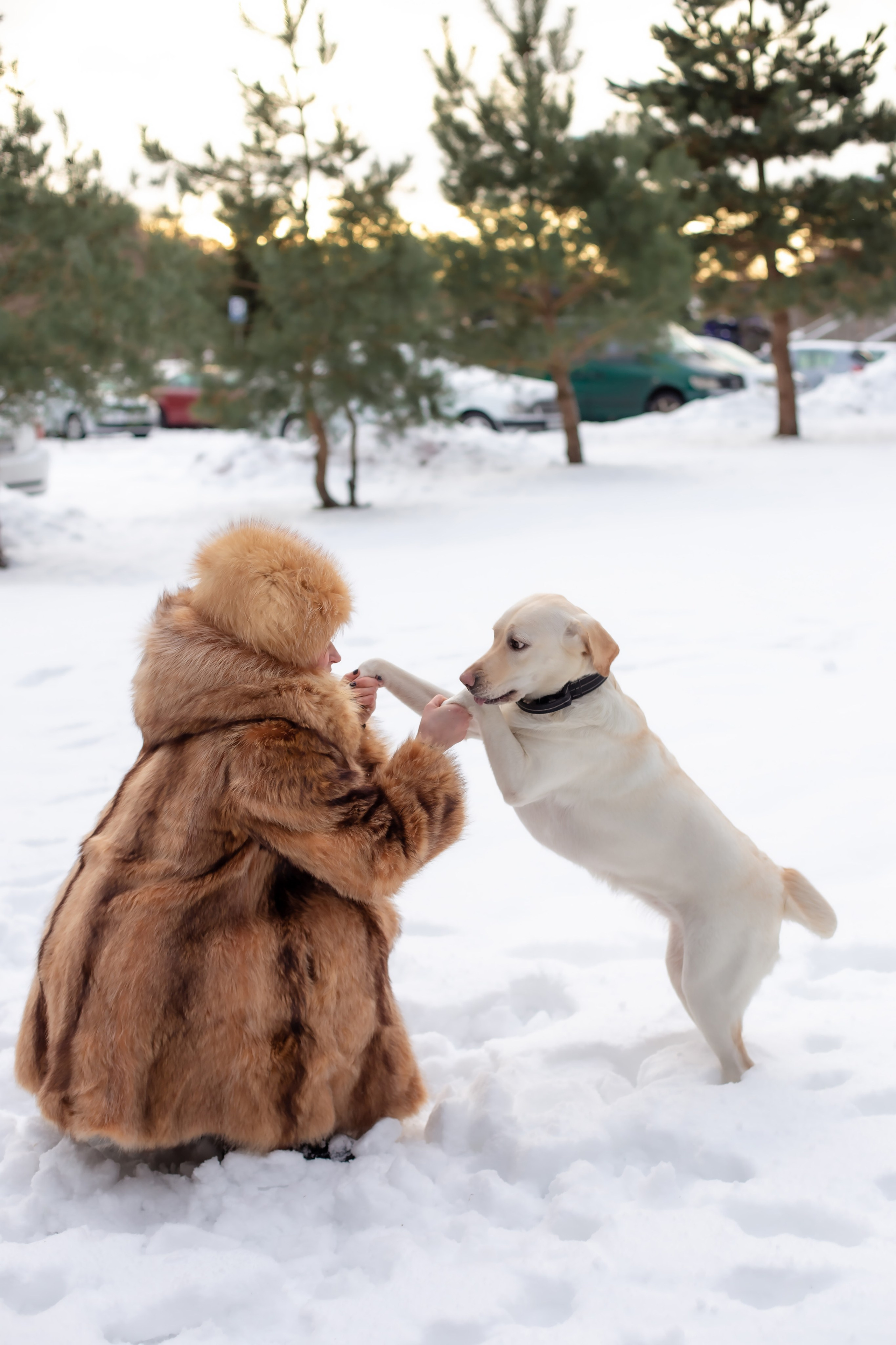 Луна и Катя. Фотограф в Калининграде Решетникова Алина