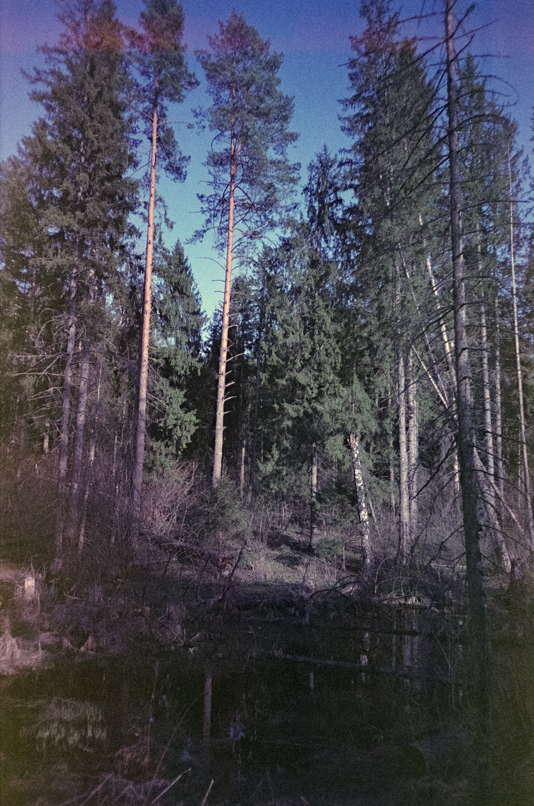 Ricoh R1 | Fujicolor Superia X-tra 400 (просрочка) @ ISO 100