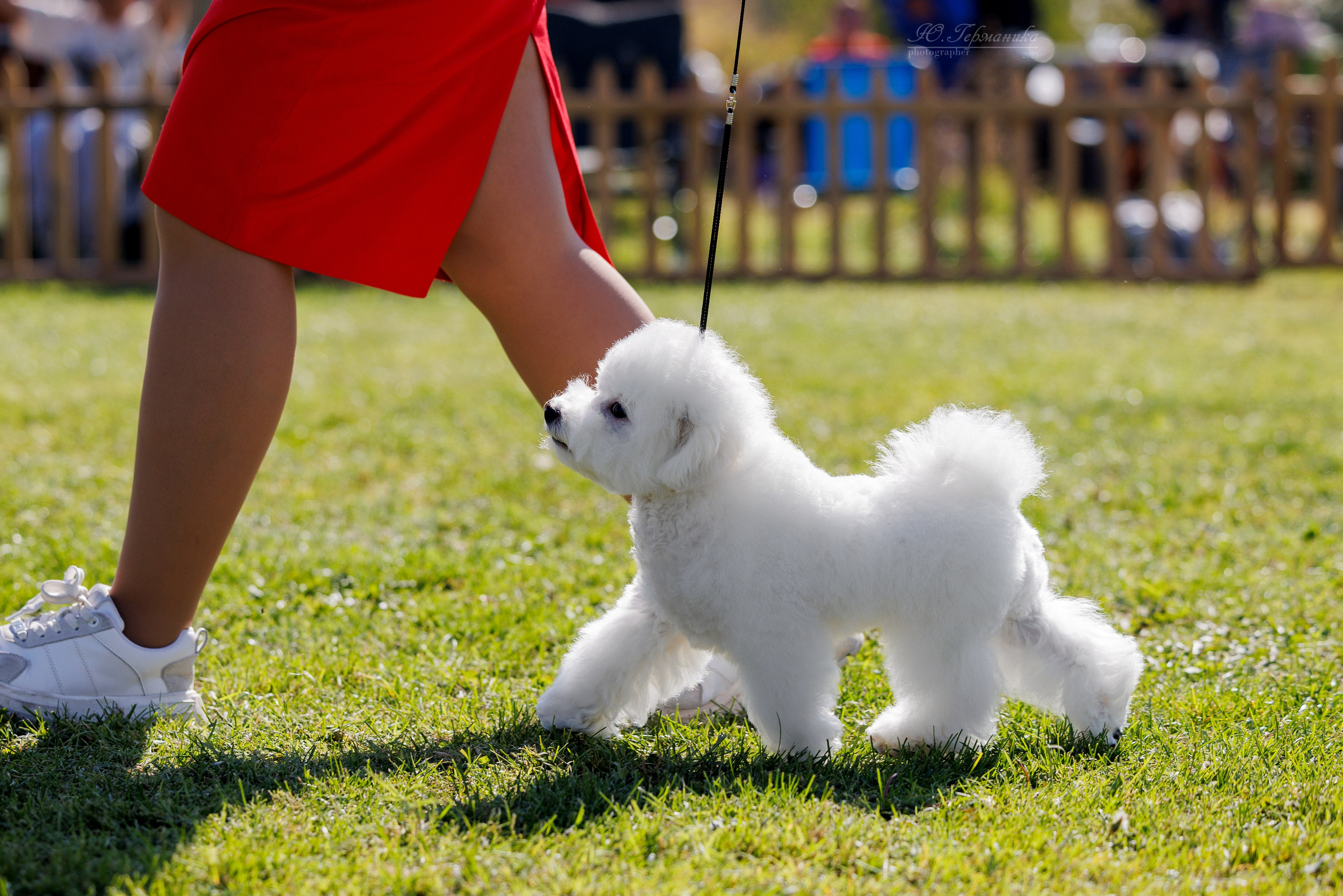 Ереван 14-16.10.2025. Фотограф-анималист Юлия Германика