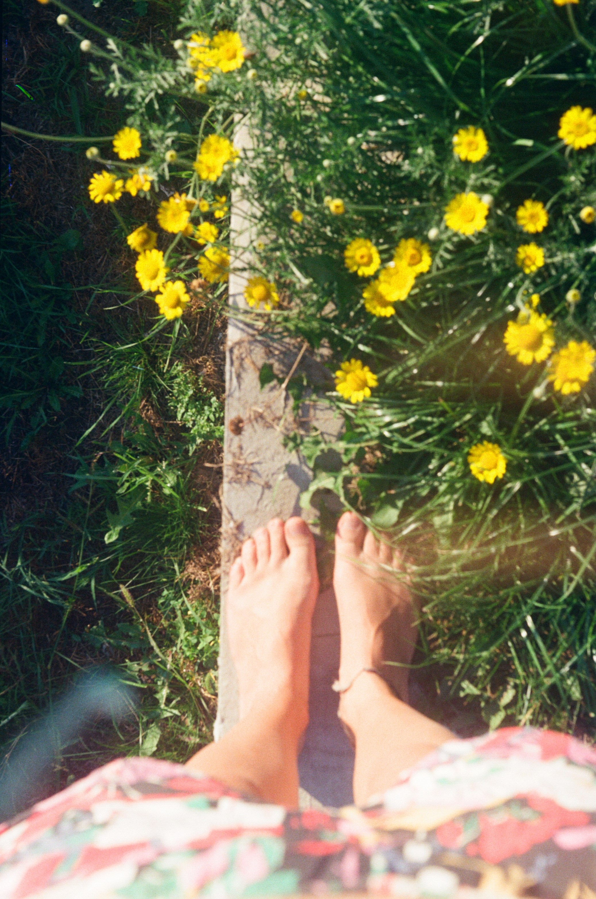 Пленка 🎞. Anita_photo