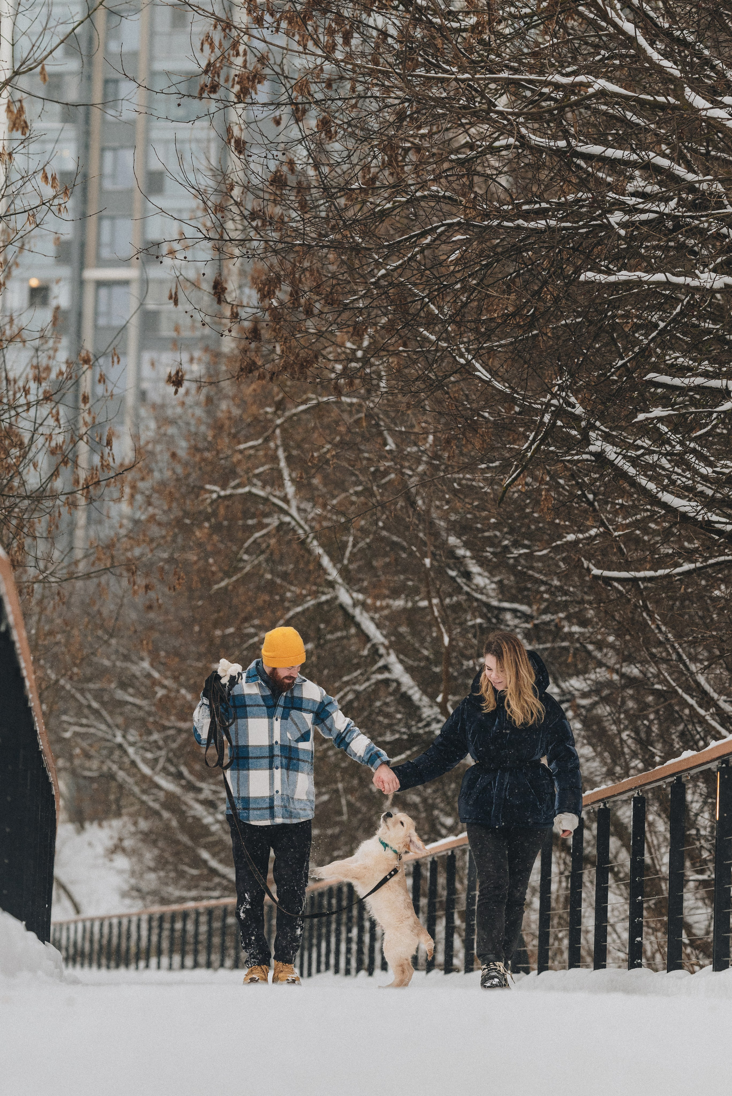 Sonia, Denis & Baggi. Natalia Finch Photography — Family, Kids & Pet Photographer in Chicago, IL
