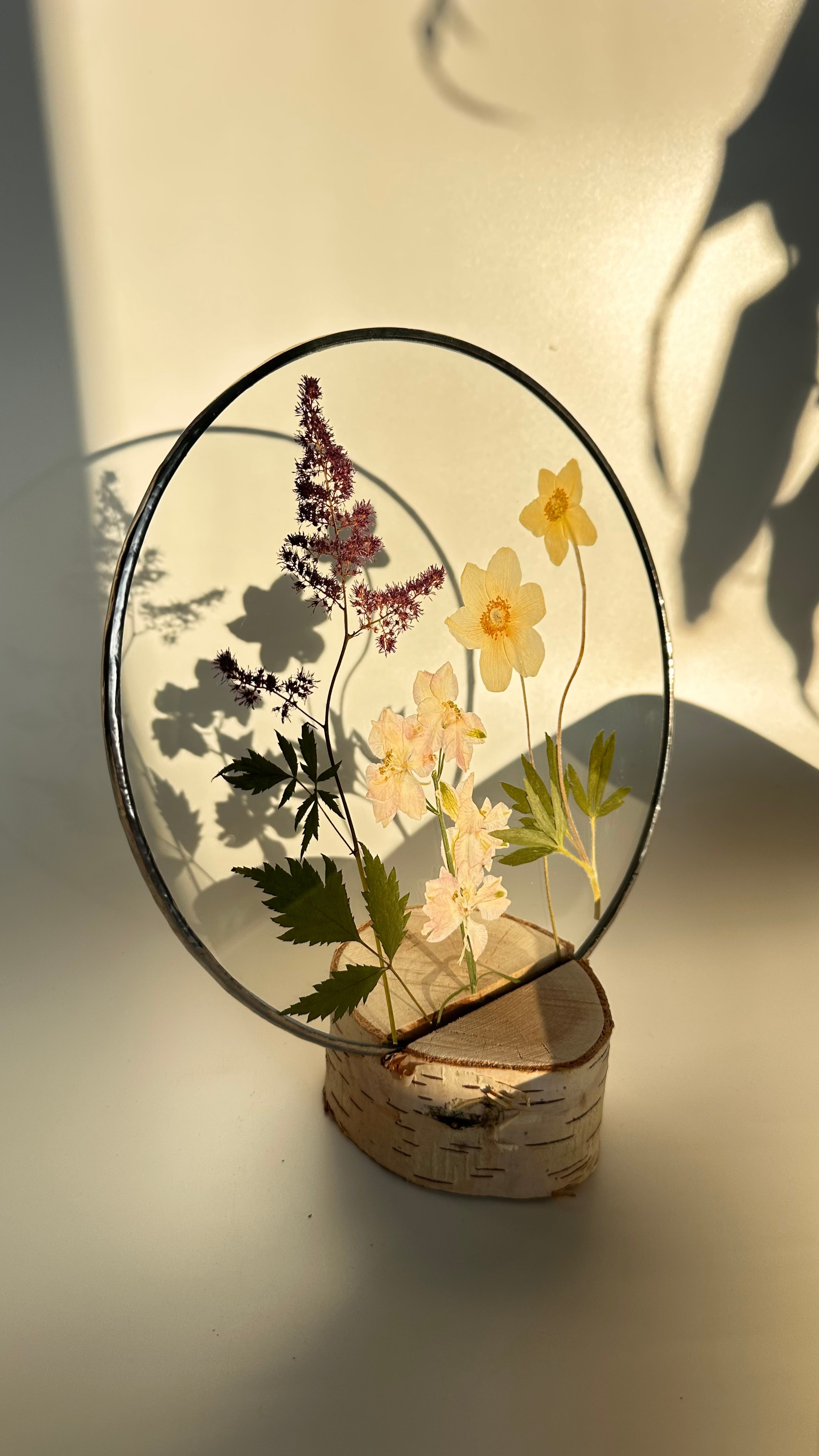 Гербарий в стекле с сухоцветами (витраж в технике тиффани). Гербарий в стекле, интерьерные панно, витражи с сухоцветами в технике тиффани