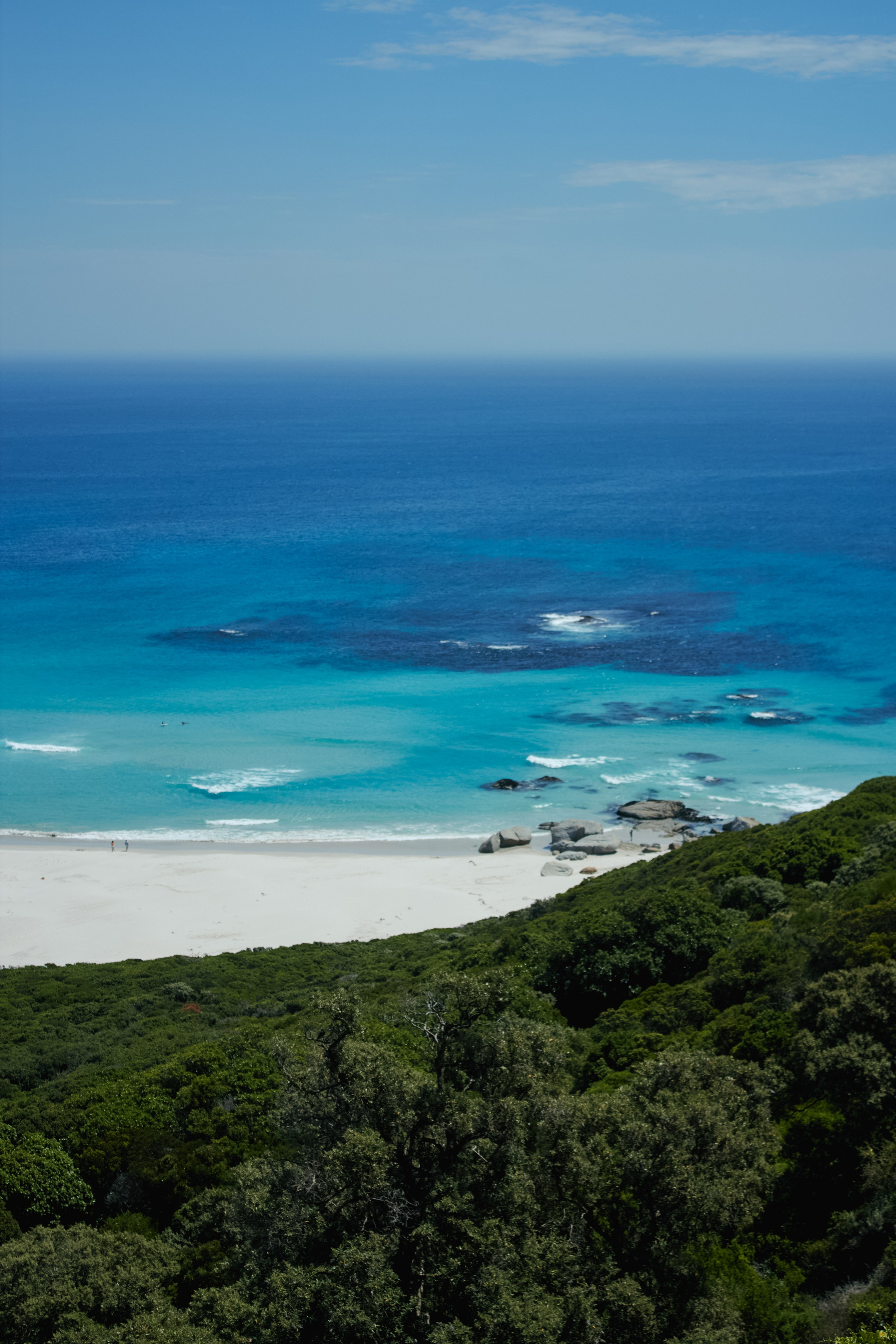 ЮАР. Профессиональный Фотограф во Владимире, в Москве и в Суздале — Полина Романычева