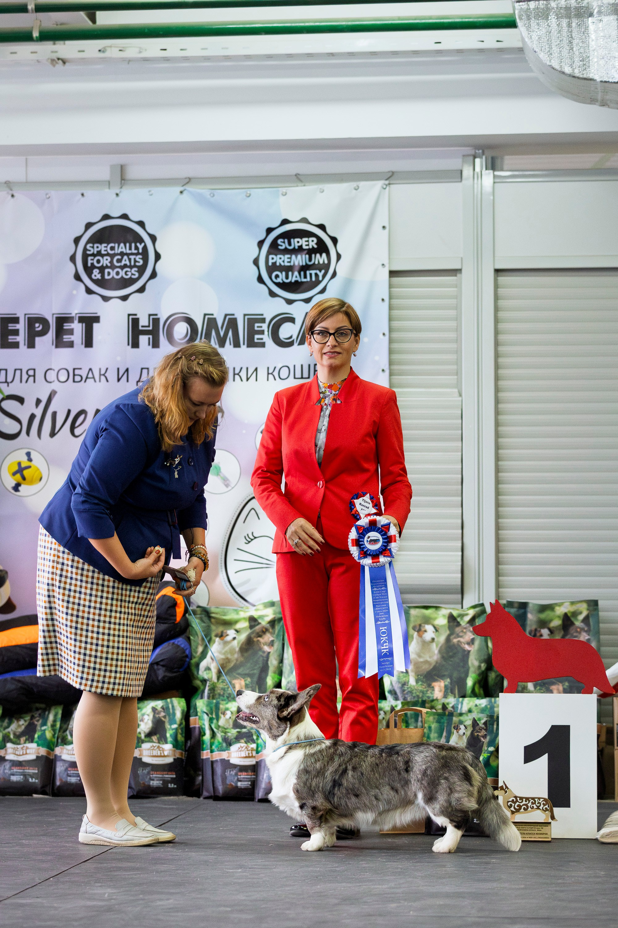 Националка ВКК 2024. Фотограф анималист, семейный фотограф, фотограф собак Комратова Мария. г. Москва