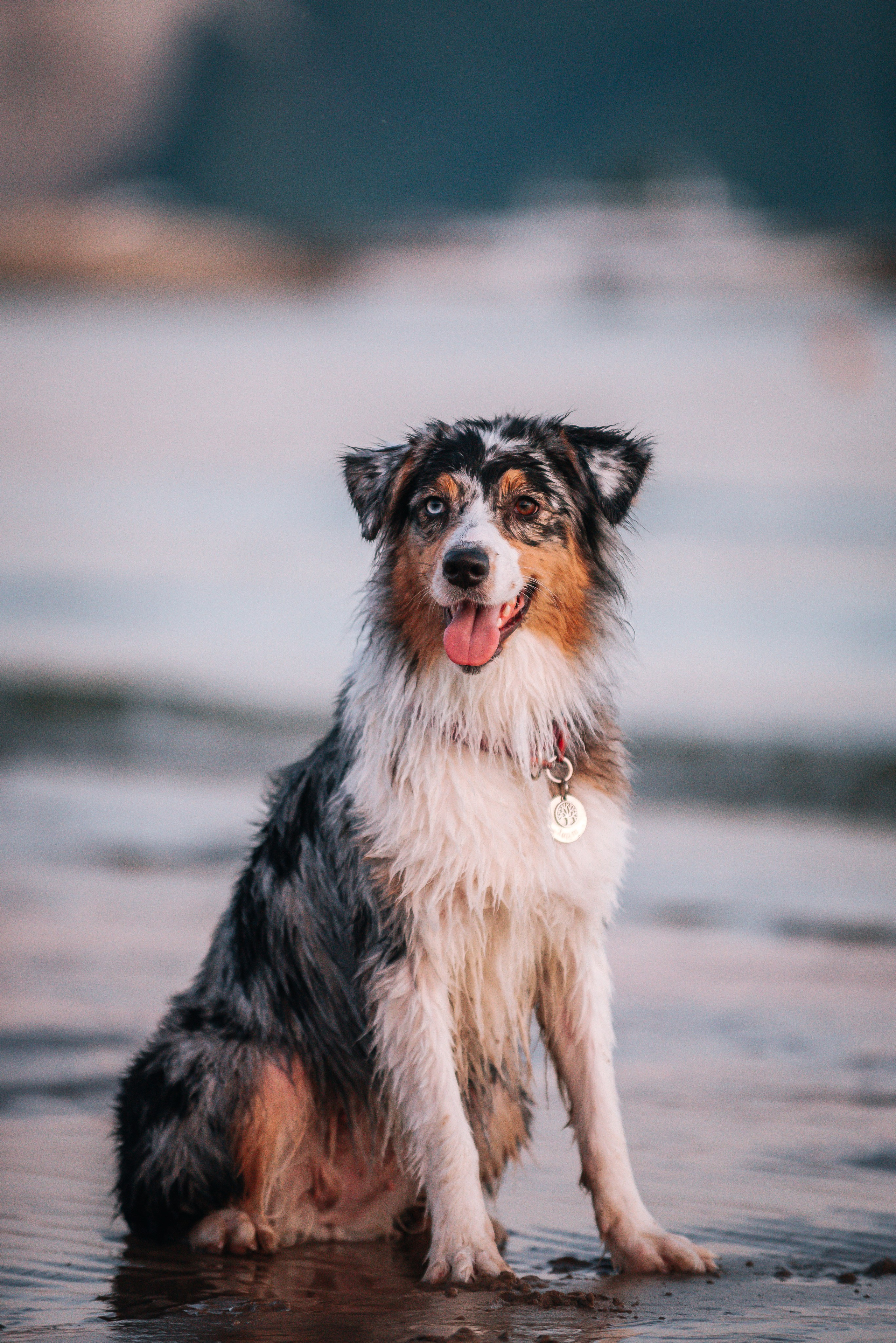 No Bad Days. Главная