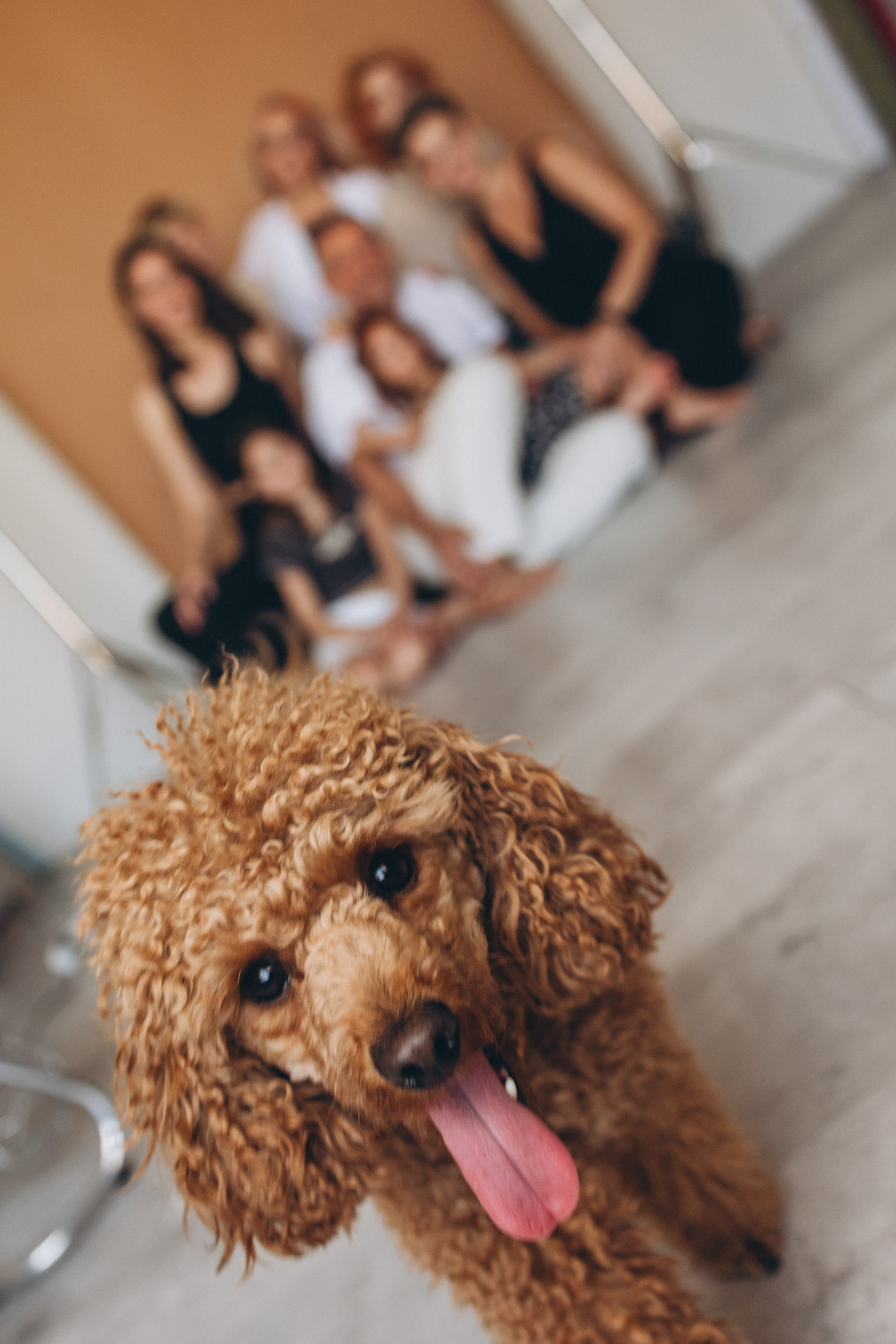 Большая семья. Семейный фотограф в Волгодонске Краченцева Анна