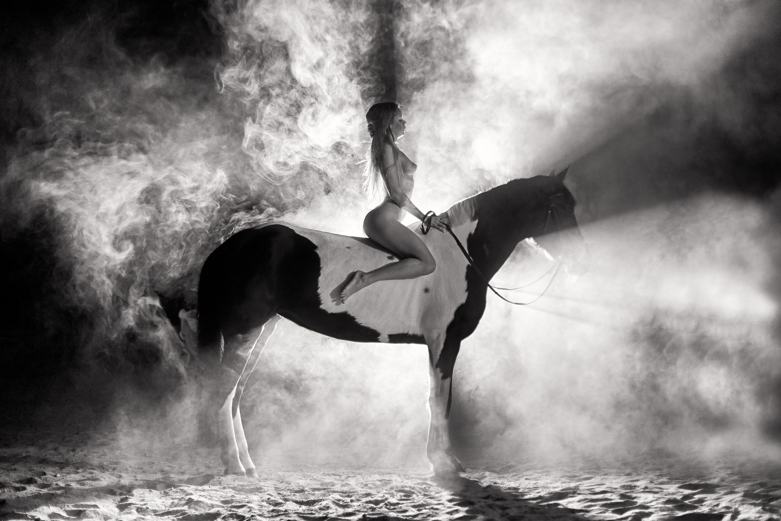 Фотосессия с лошадьми, Фотограф Михаил Семенов г. Ярославль