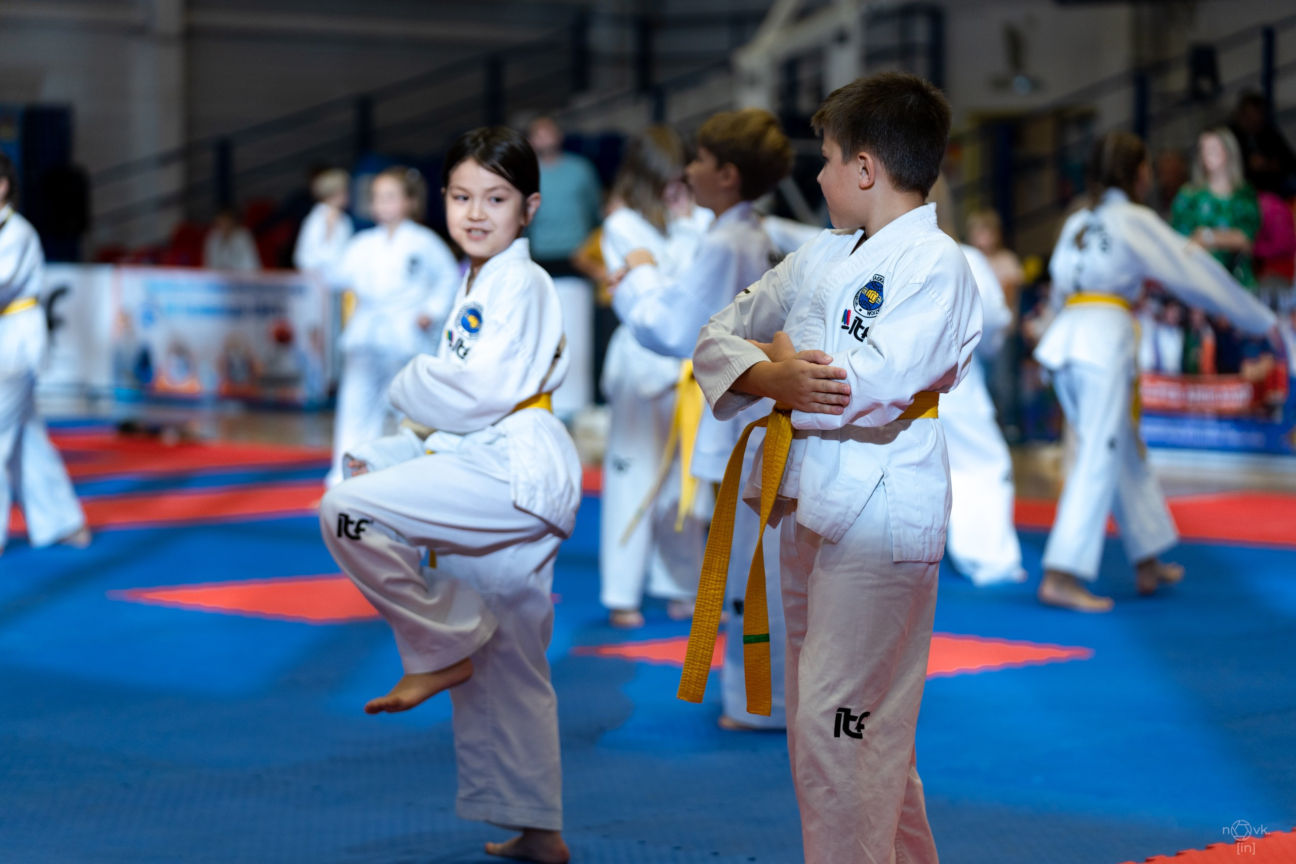 Тхэквондо. ФОТОГРАФ ИВАН НОВИКОВ | СТАВРОПОЛЬ