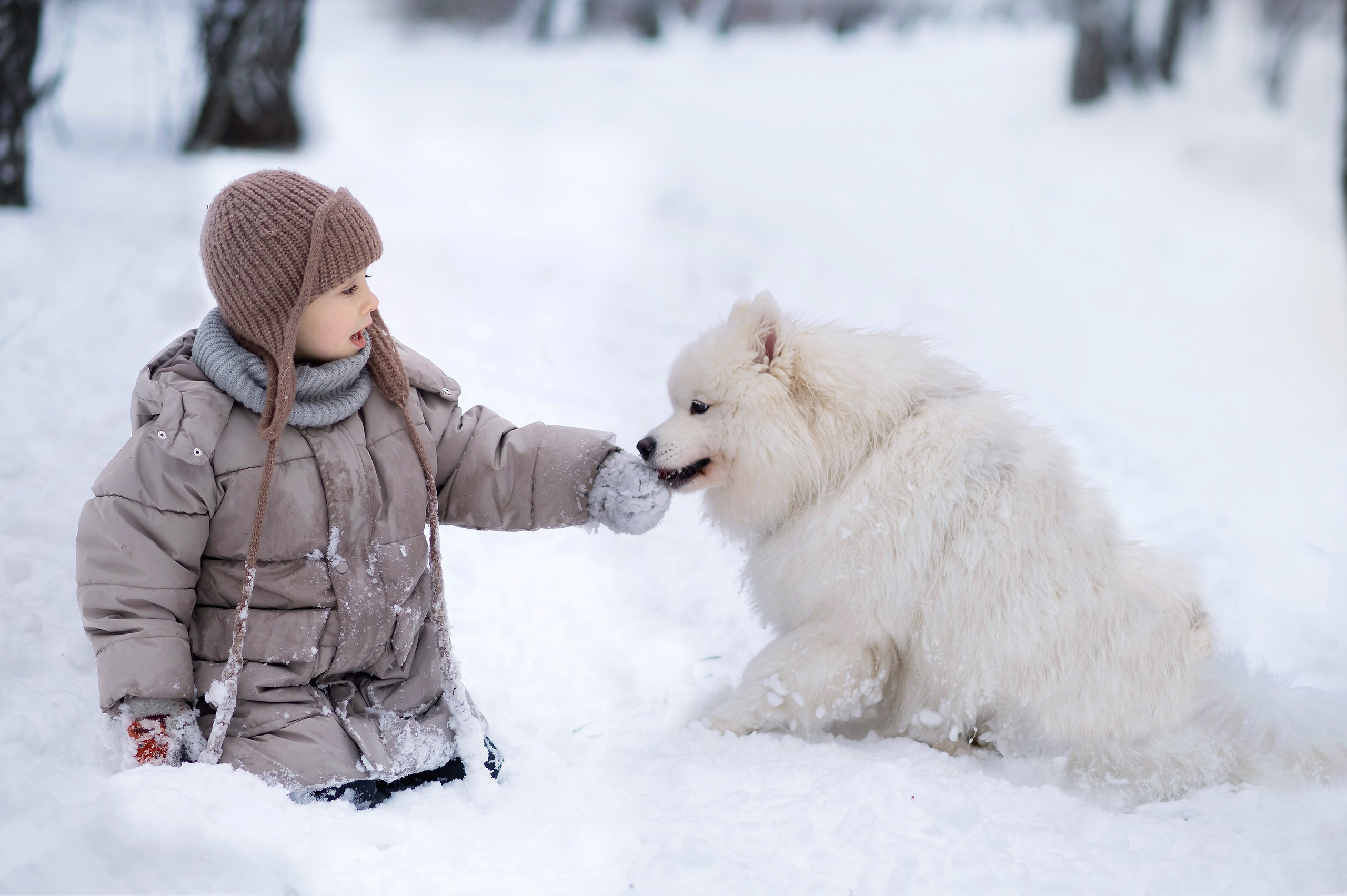 Семейные. Контакты