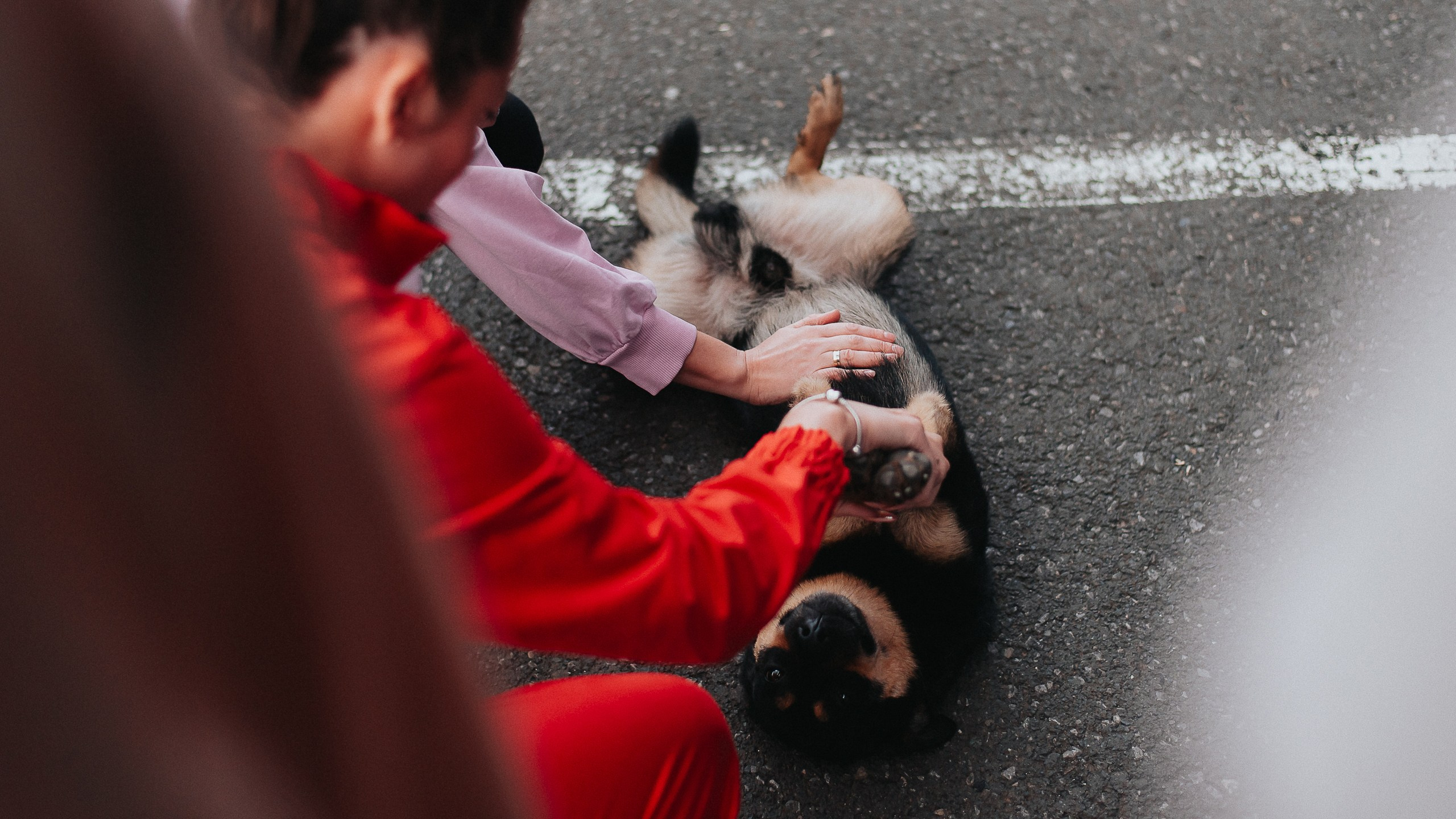 11.08.2024 — КСКГ Классика 2024 | Этап 4. Репортажный фотограф в Кемерово