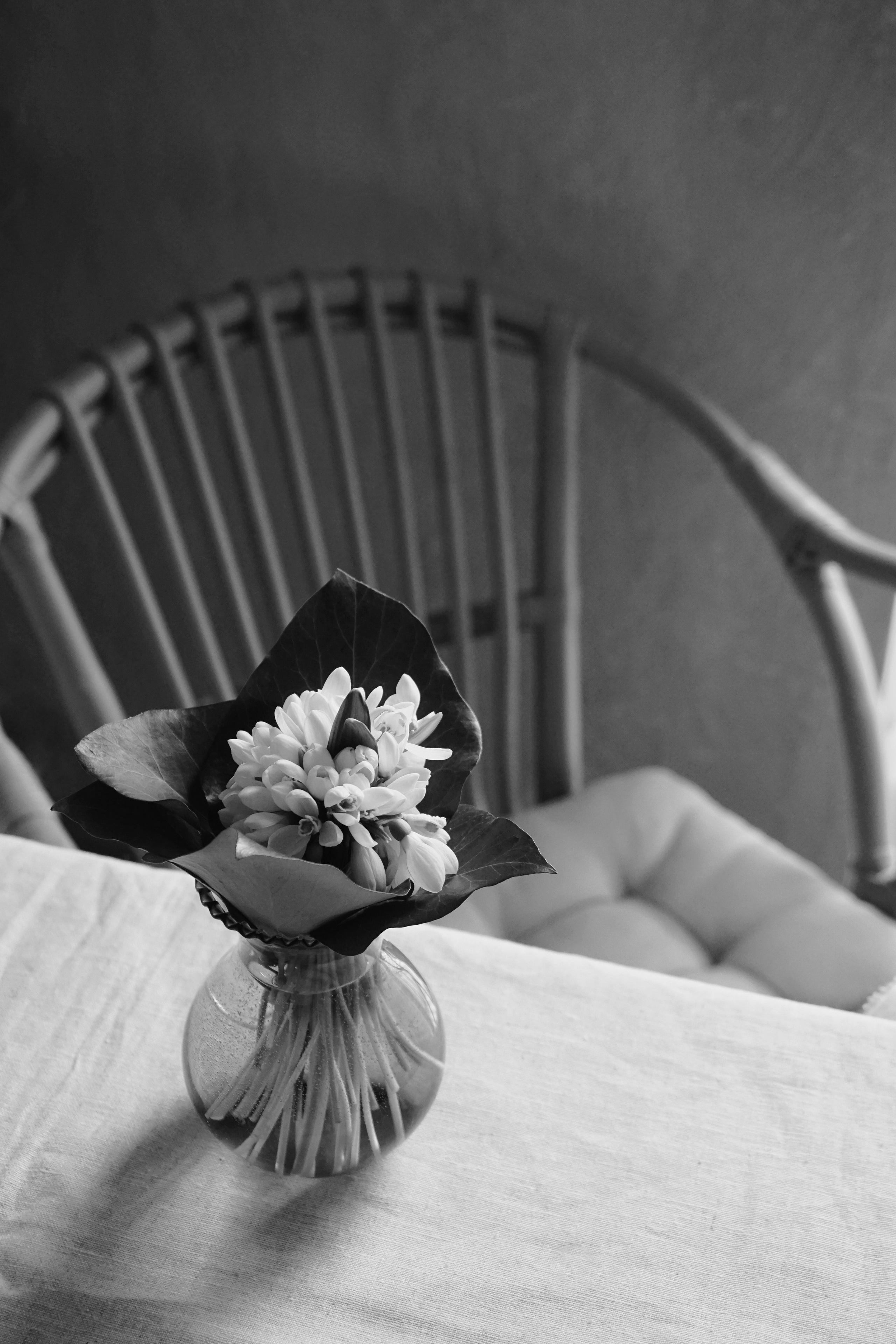 Still life. Фотограф Lisa Polyakova