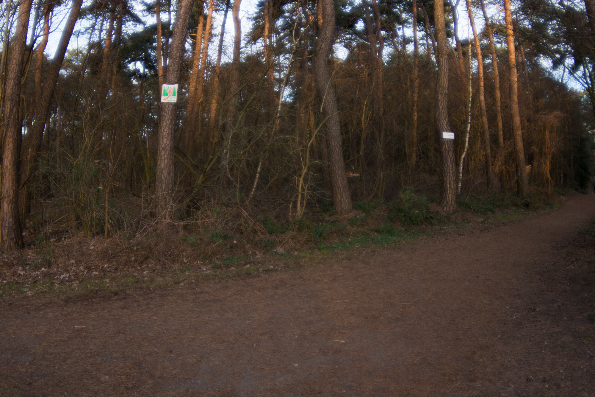 Коллаж. Портретный фотограф Станислав Жуков | Москва