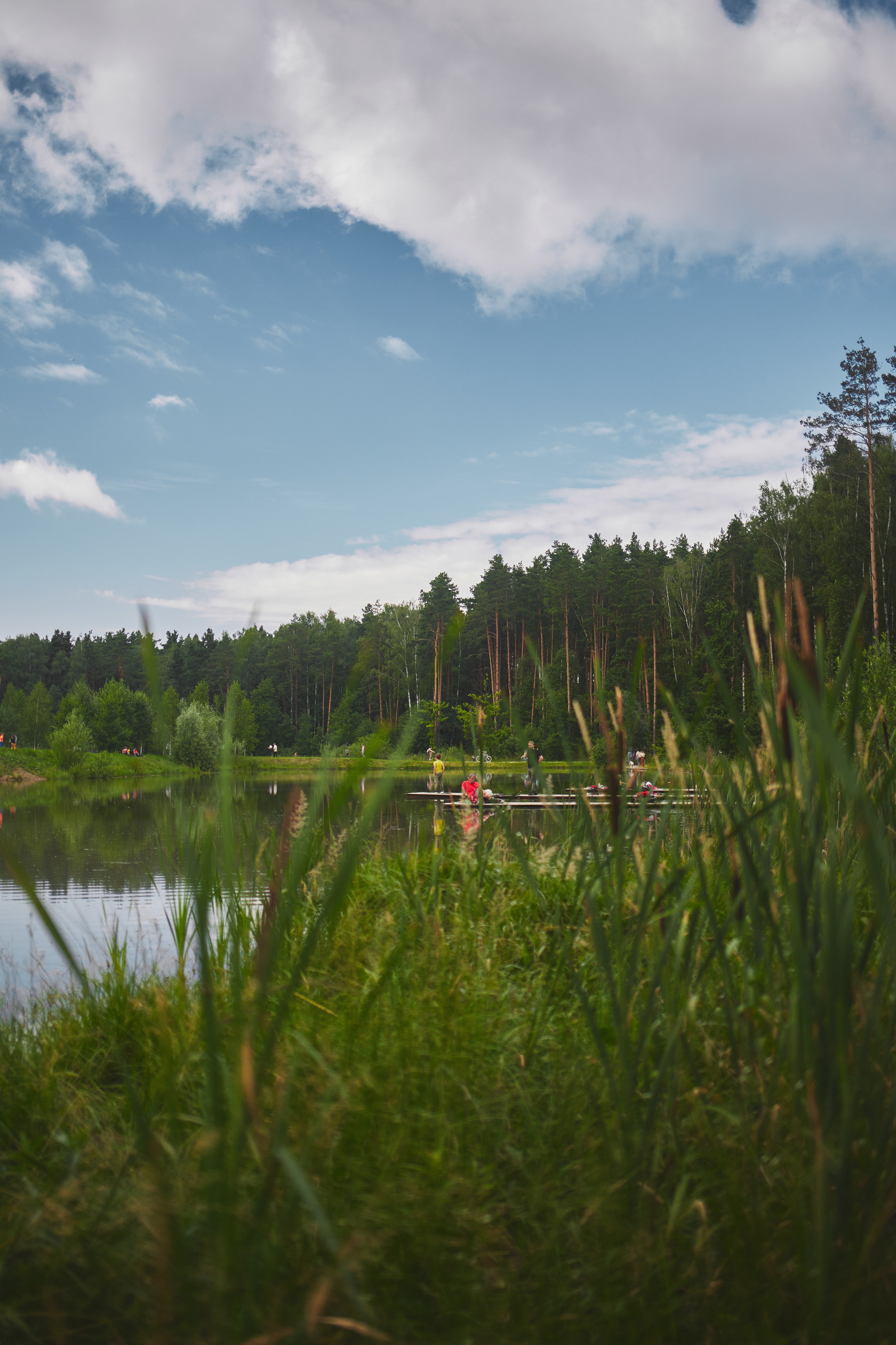 Мещерский лес. Портретный фотограф в Москве Анастасия Потёмкина