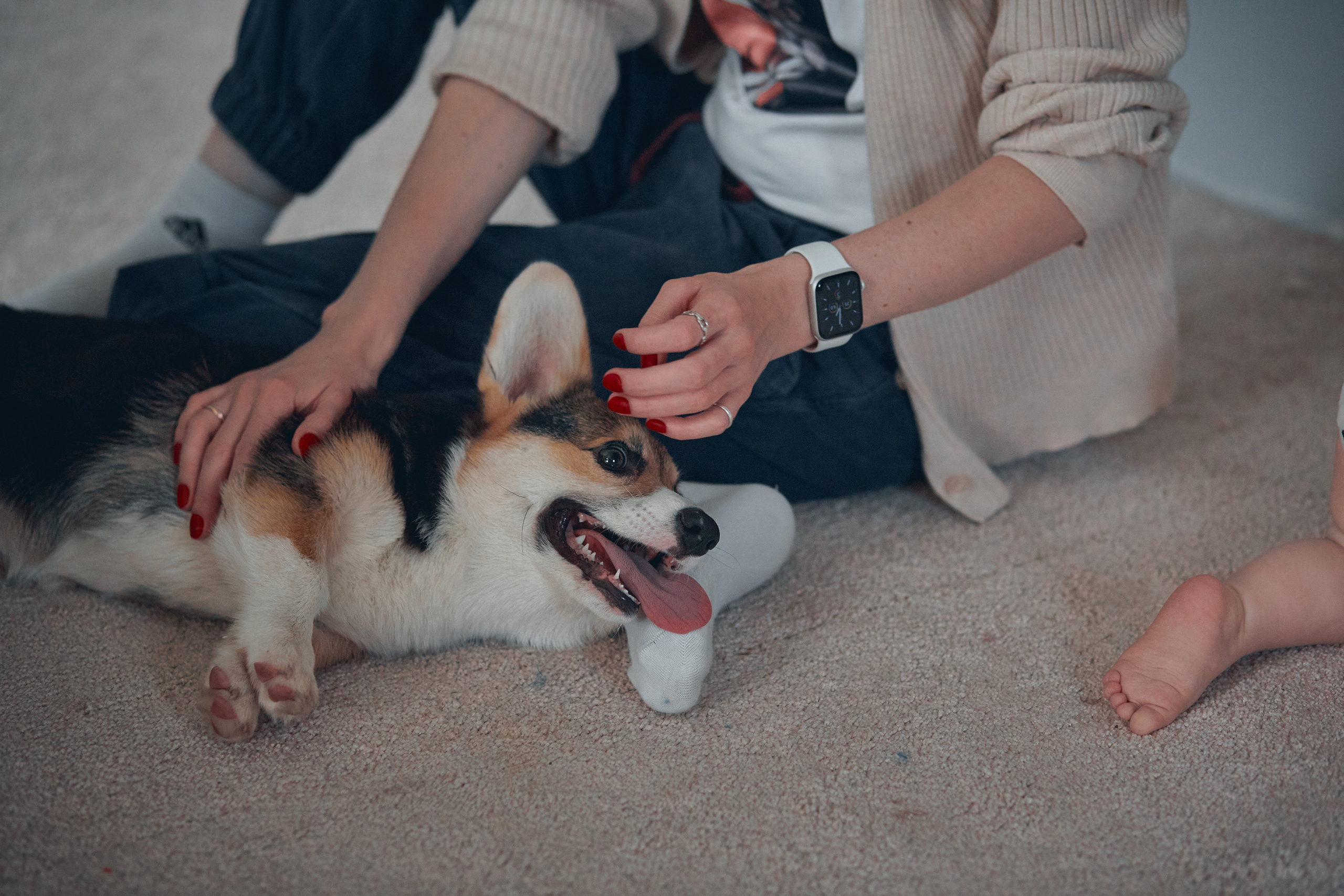 Семейство Дюбюк. Портретный фотограф в Москве Анастасия Потёмкина