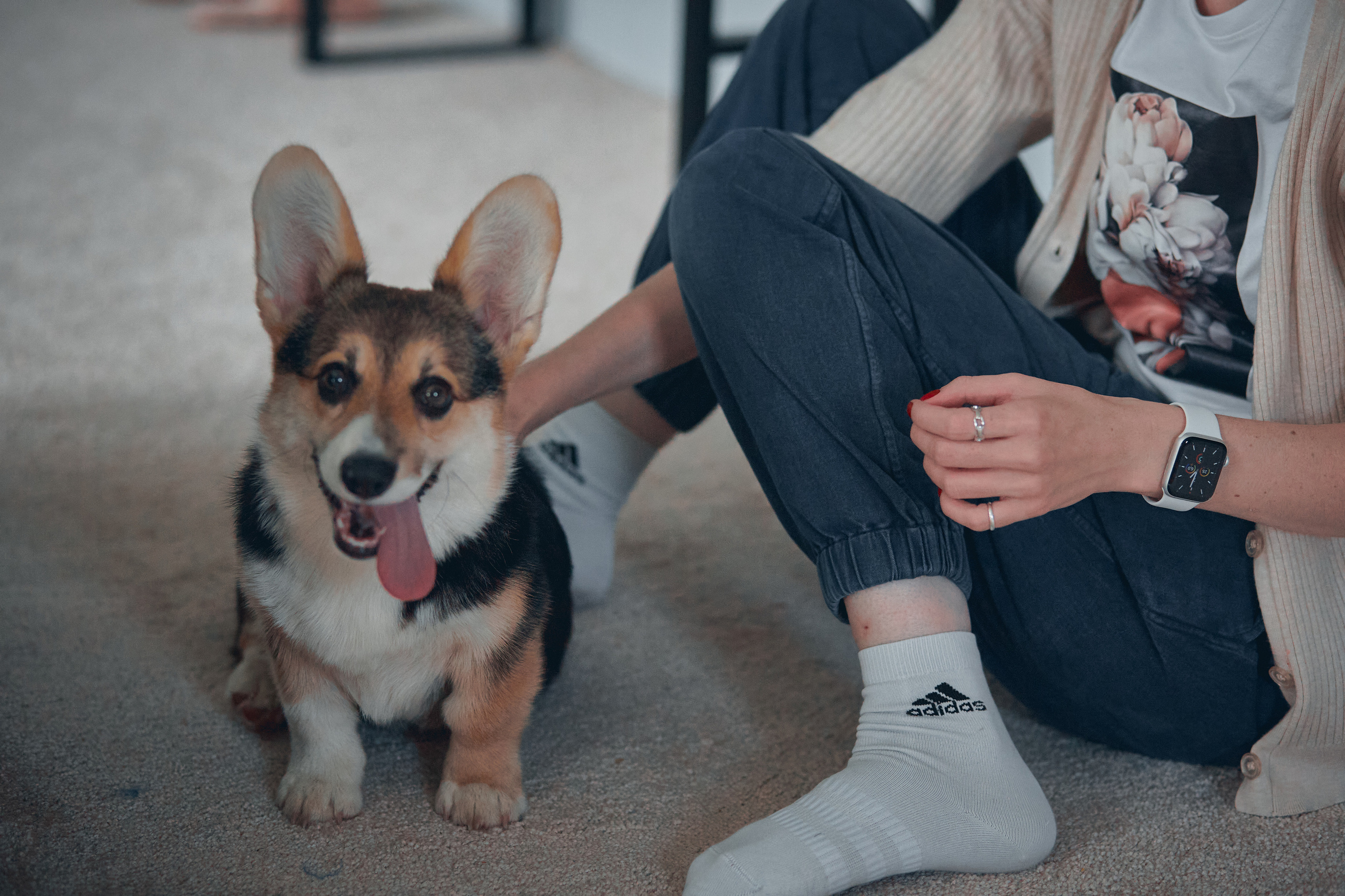 Семейство Дюбюк. Портретный фотограф в Москве Анастасия Потёмкина