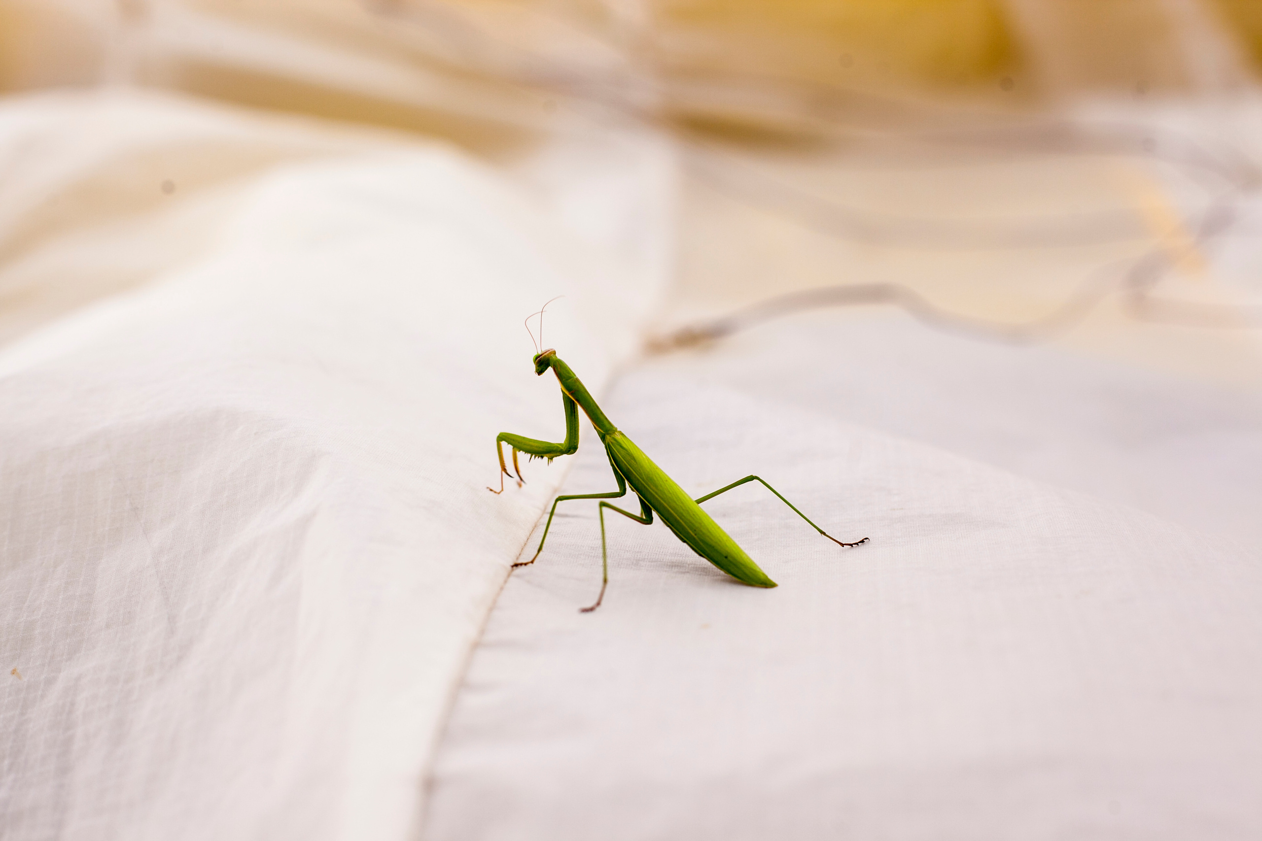 Гора Клементьева, Крым. Портретный фотограф в Москве Анастасия Потёмкина