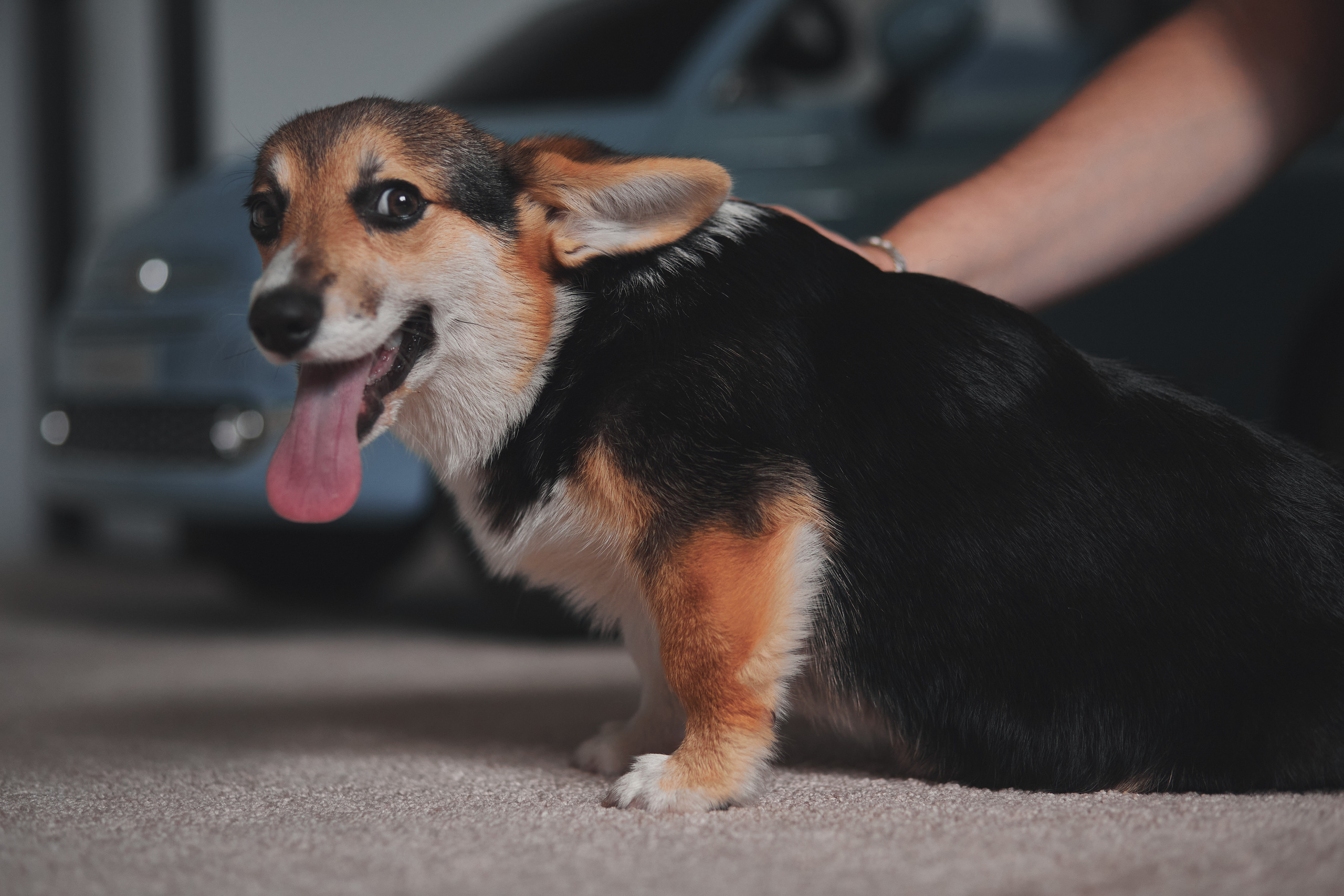 Семейство Дюбюк. Портретный фотограф в Москве Анастасия Потёмкина