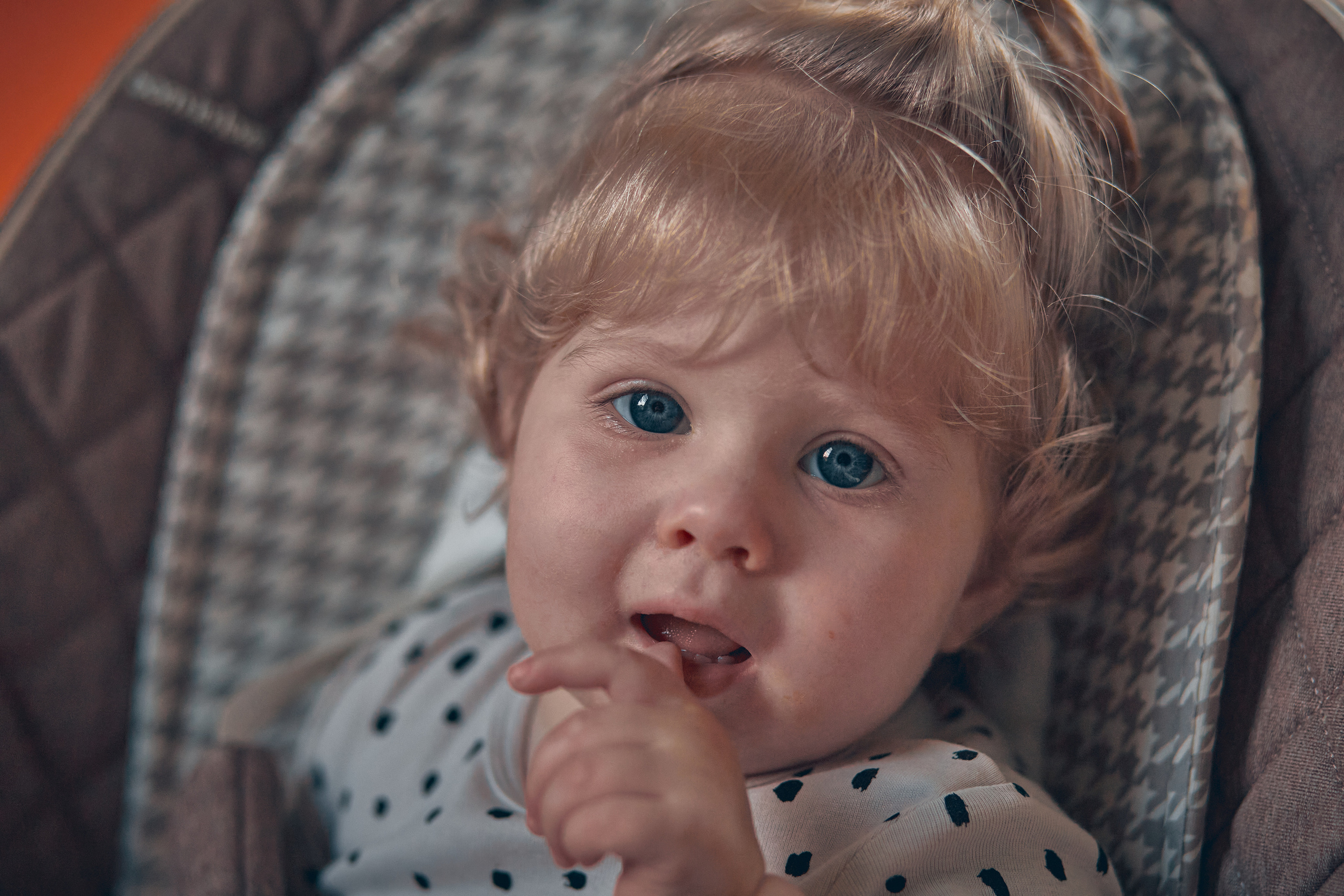 Семейство Дюбюк. Портретный фотограф в Москве Анастасия Потёмкина
