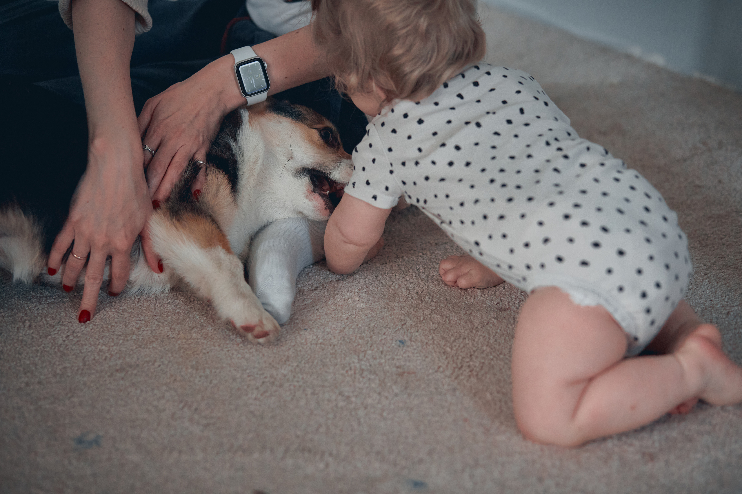 Семейство Дюбюк. Портретный фотограф в Москве Анастасия Потёмкина
