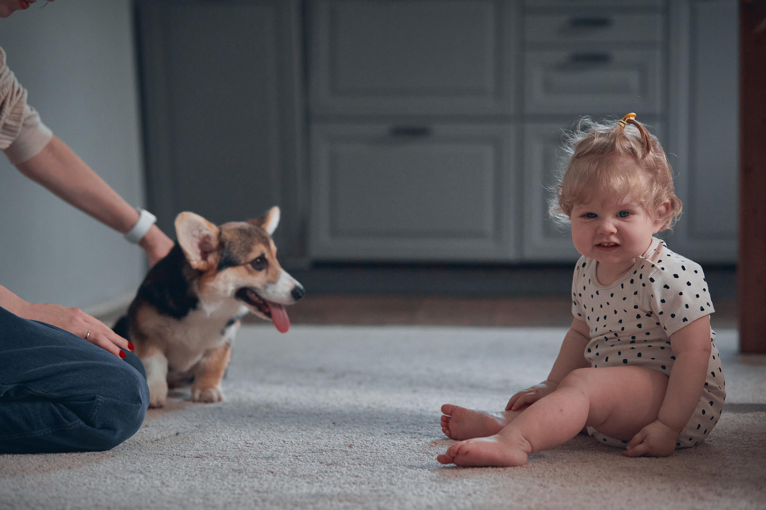 Семейство Дюбюк. Портретный фотограф в Москве Анастасия Потёмкина