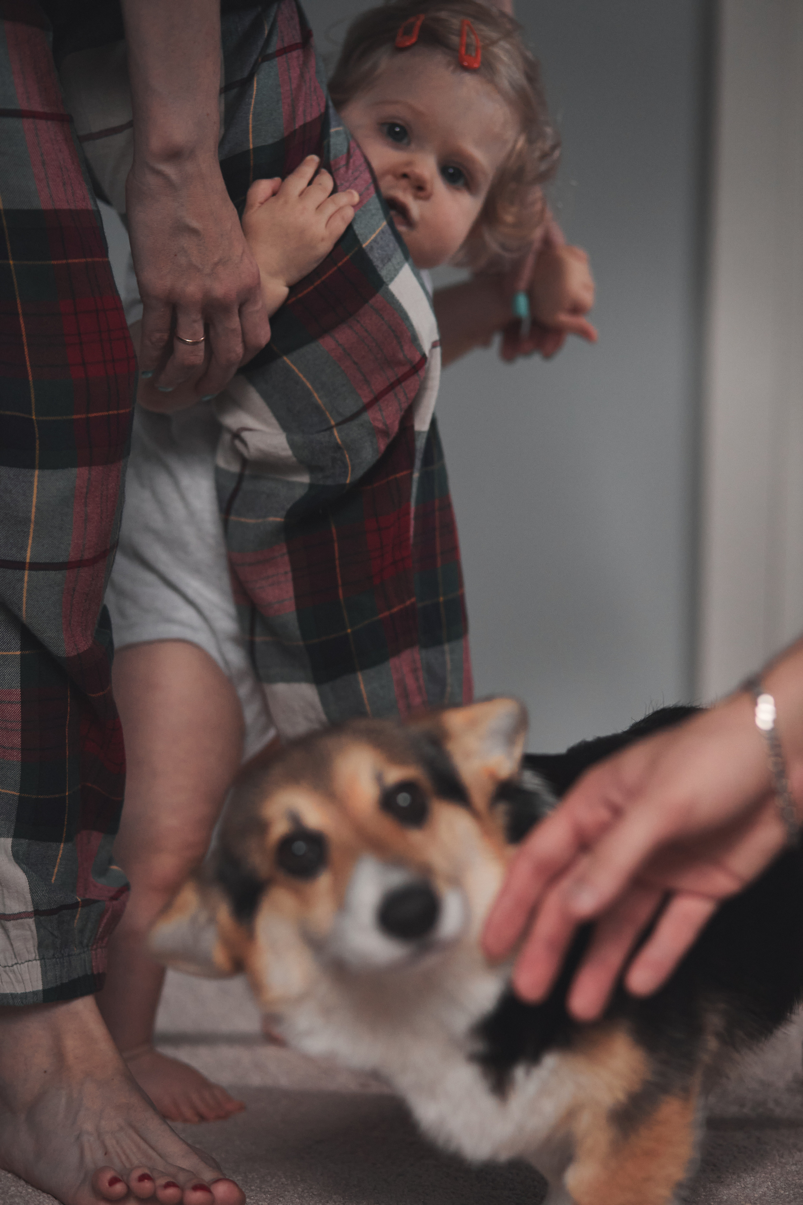 Семейство Дюбюк. Портретный фотограф в Москве Анастасия Потёмкина