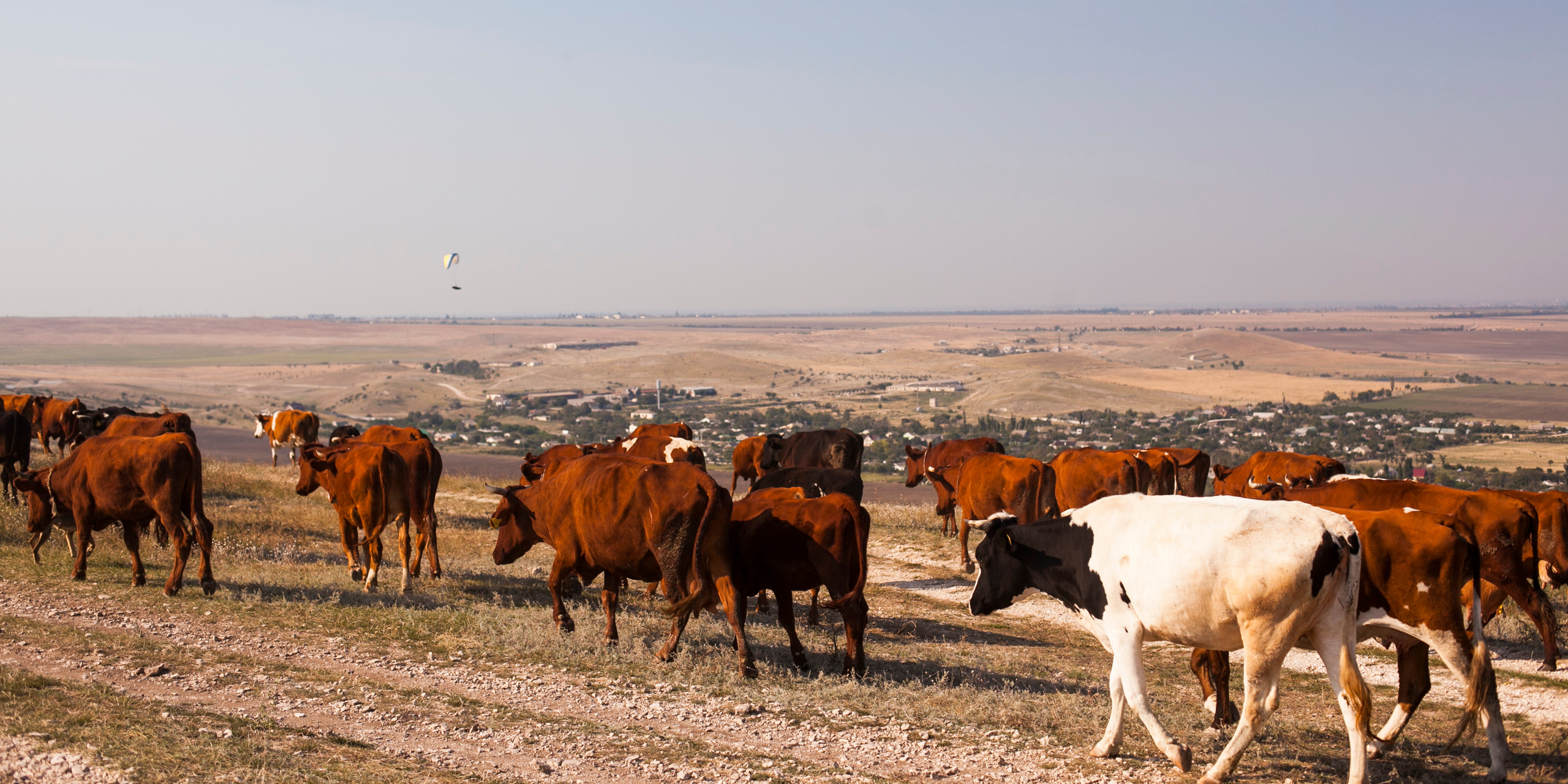 Гора Клементьева, Крым. Портретный фотограф в Москве Анастасия Потёмкина