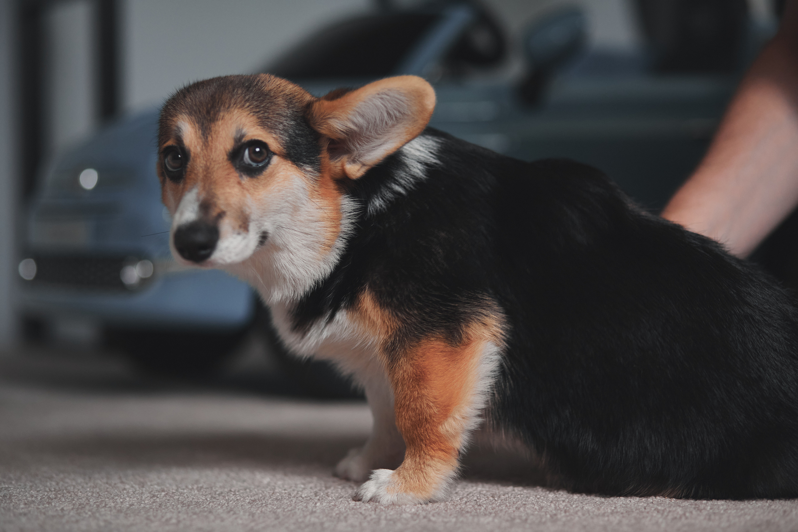Семейство Дюбюк. Портретный фотограф в Москве Анастасия Потёмкина