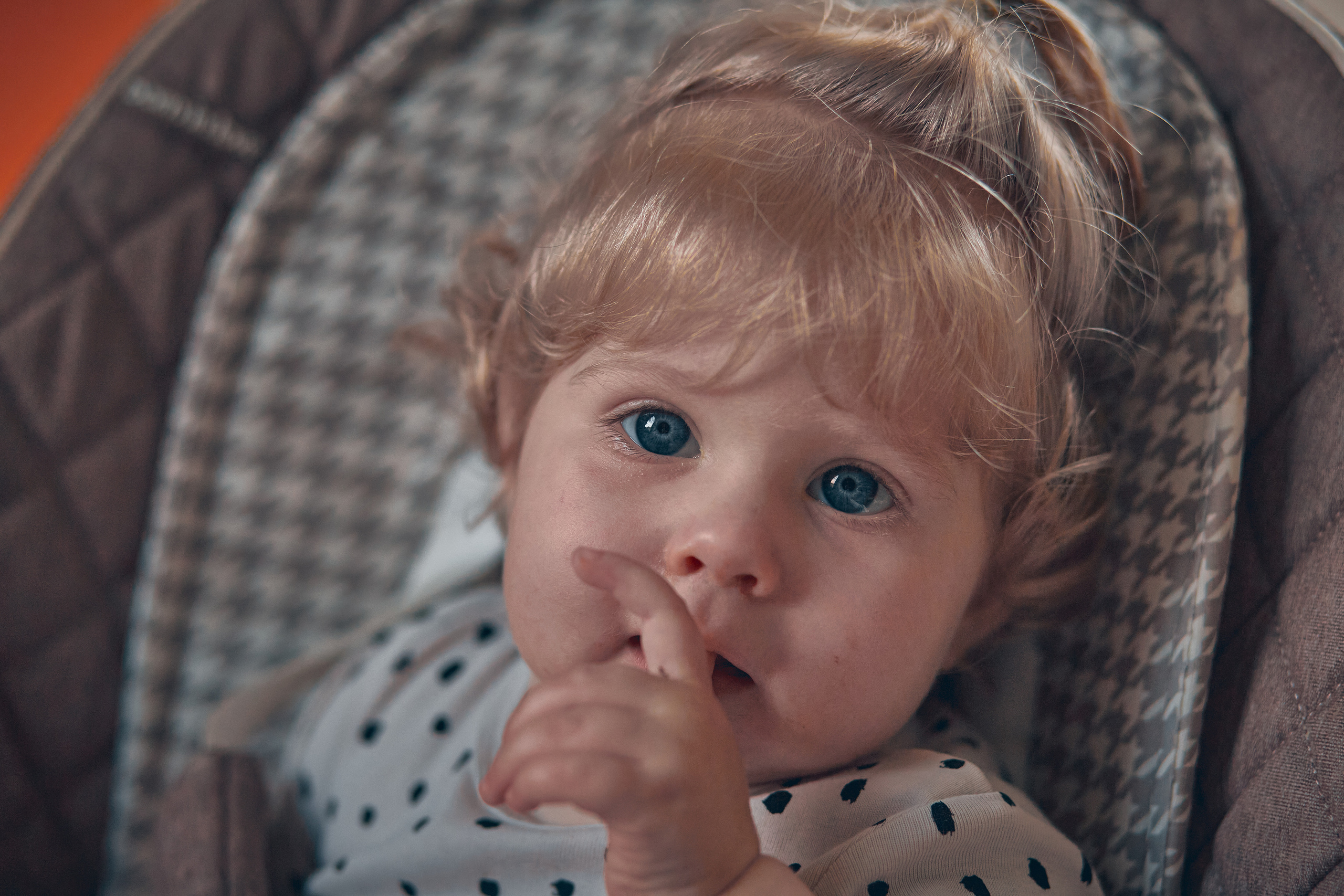 Семейство Дюбюк. Портретный фотограф в Москве Анастасия Потёмкина