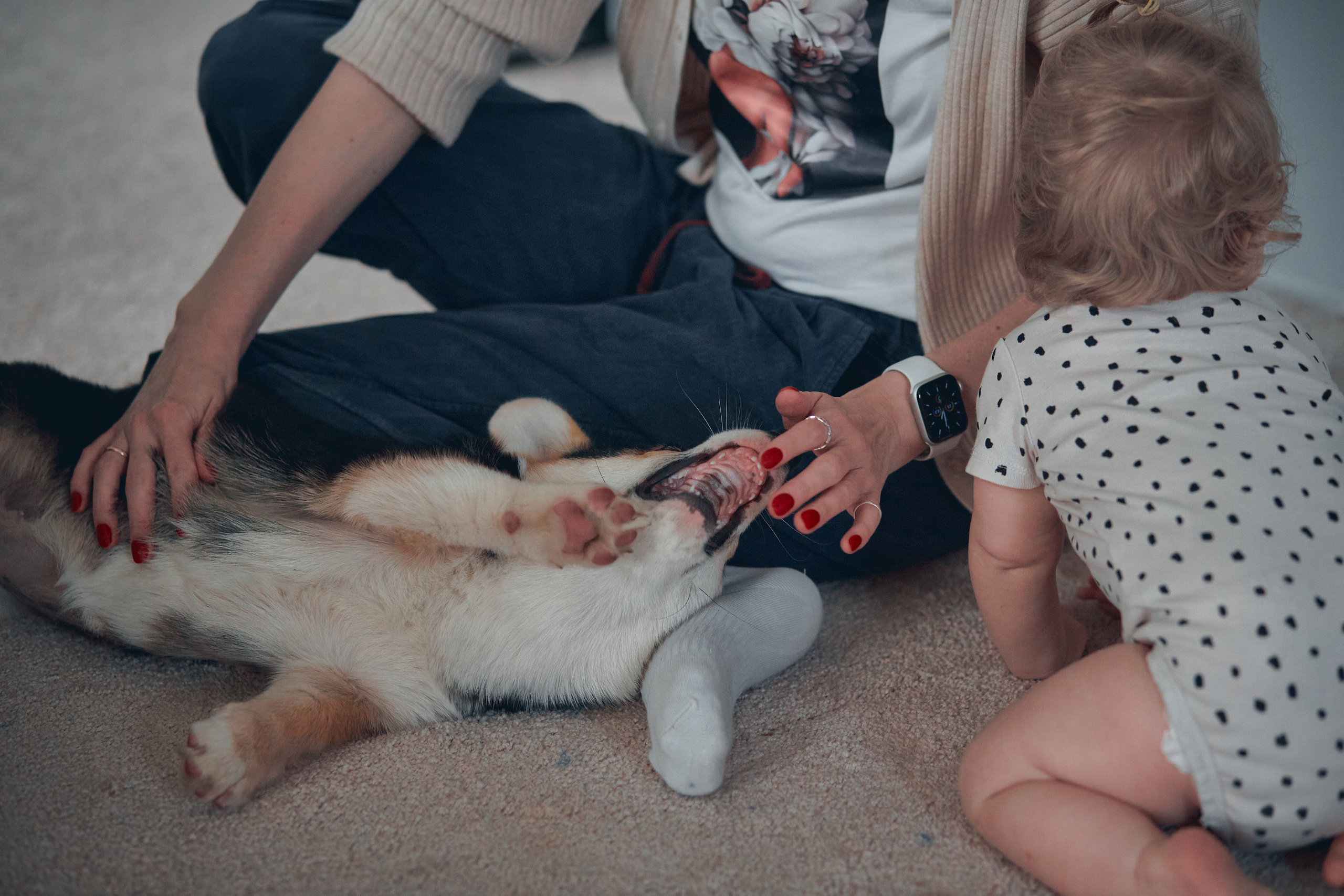 Семейство Дюбюк. Портретный фотограф в Москве Анастасия Потёмкина