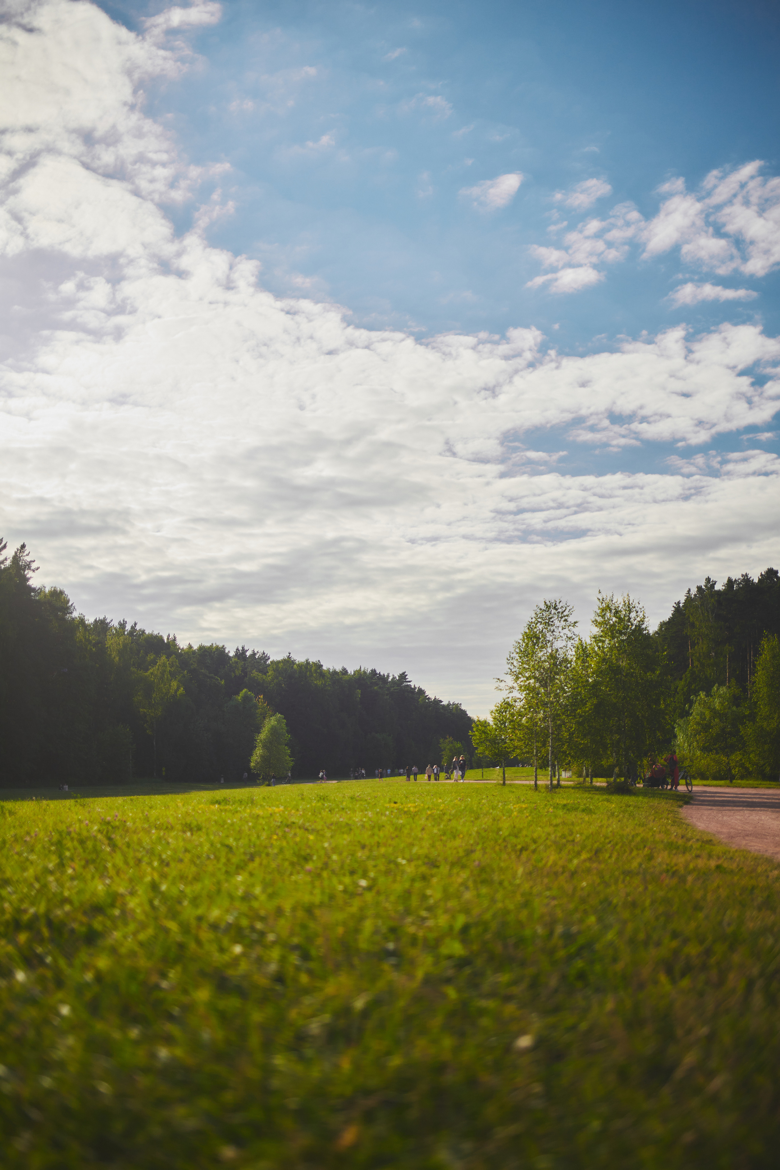 Мещерский лес. Портретный фотограф в Москве Анастасия Потёмкина