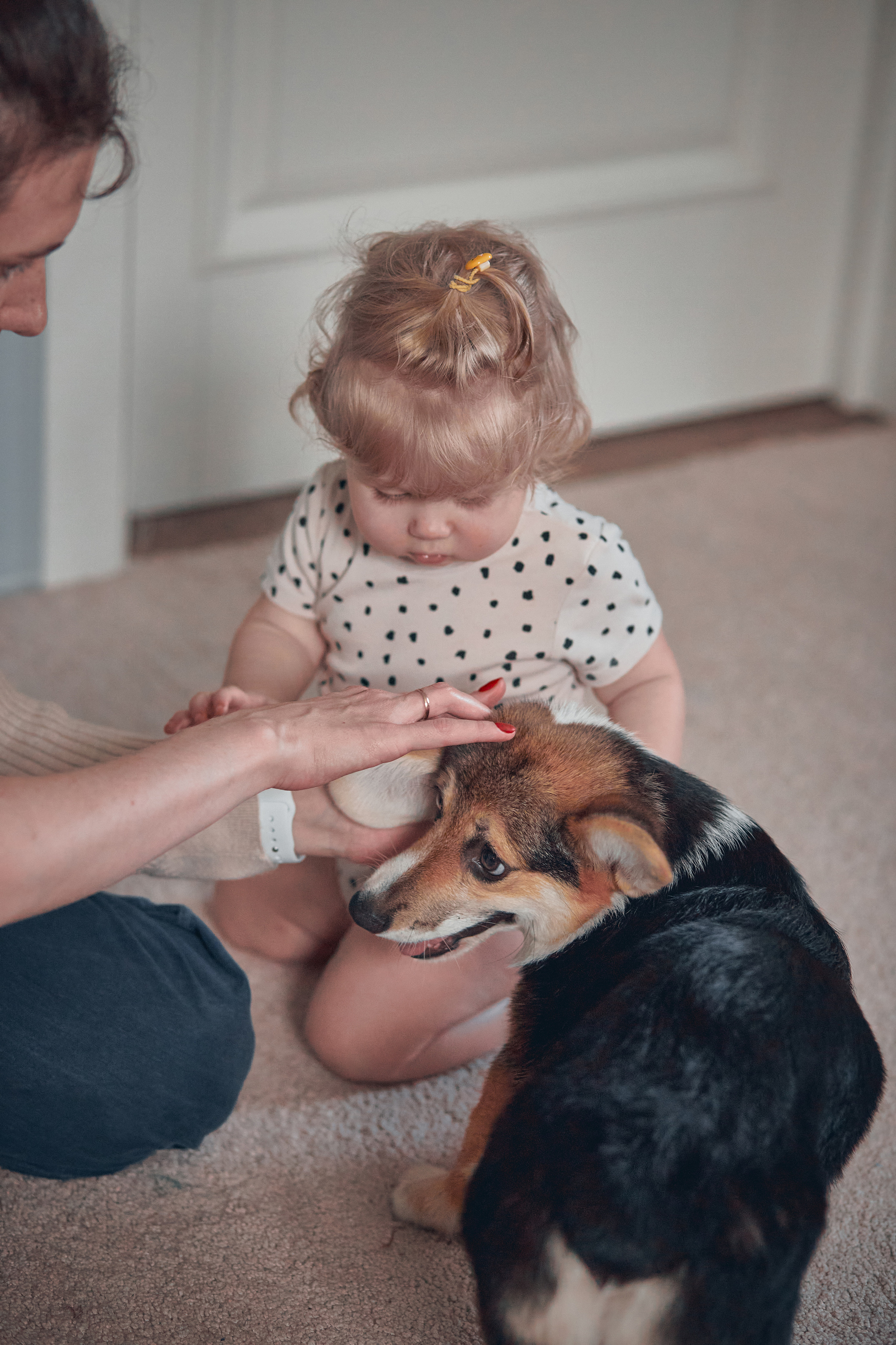 Семейство Дюбюк. Портретный фотограф в Москве Анастасия Потёмкина