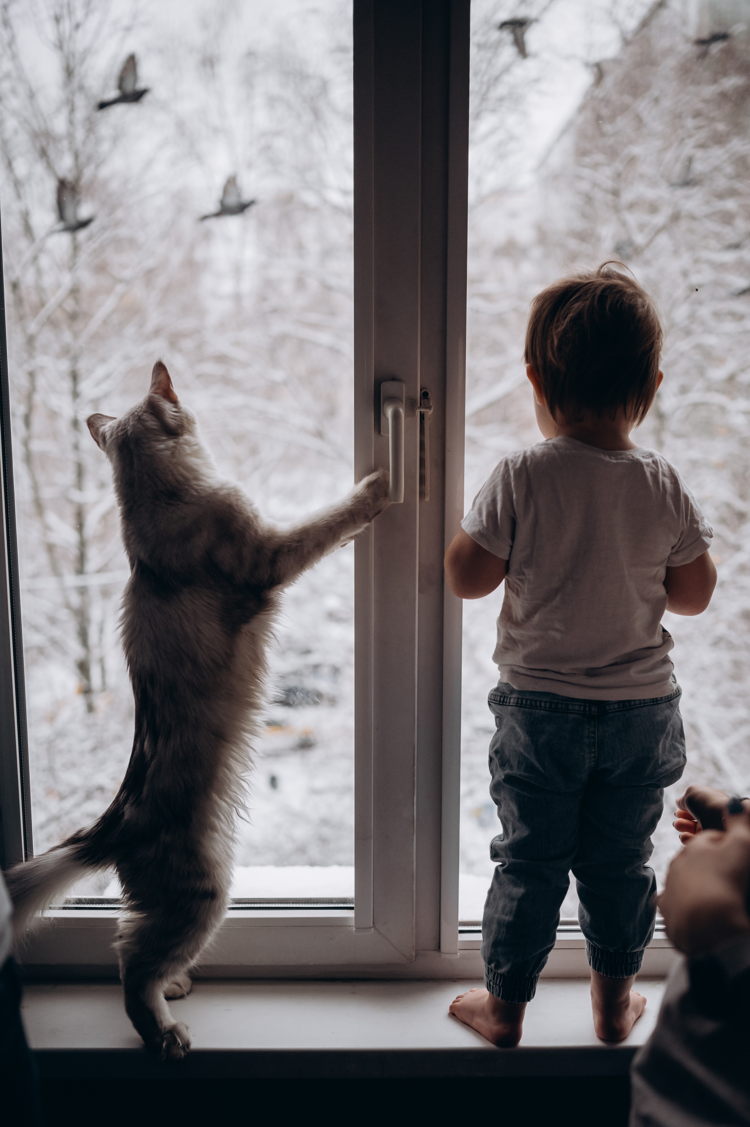 Настя Андрей Ромашка. Детский и семейный фотограф в Москве