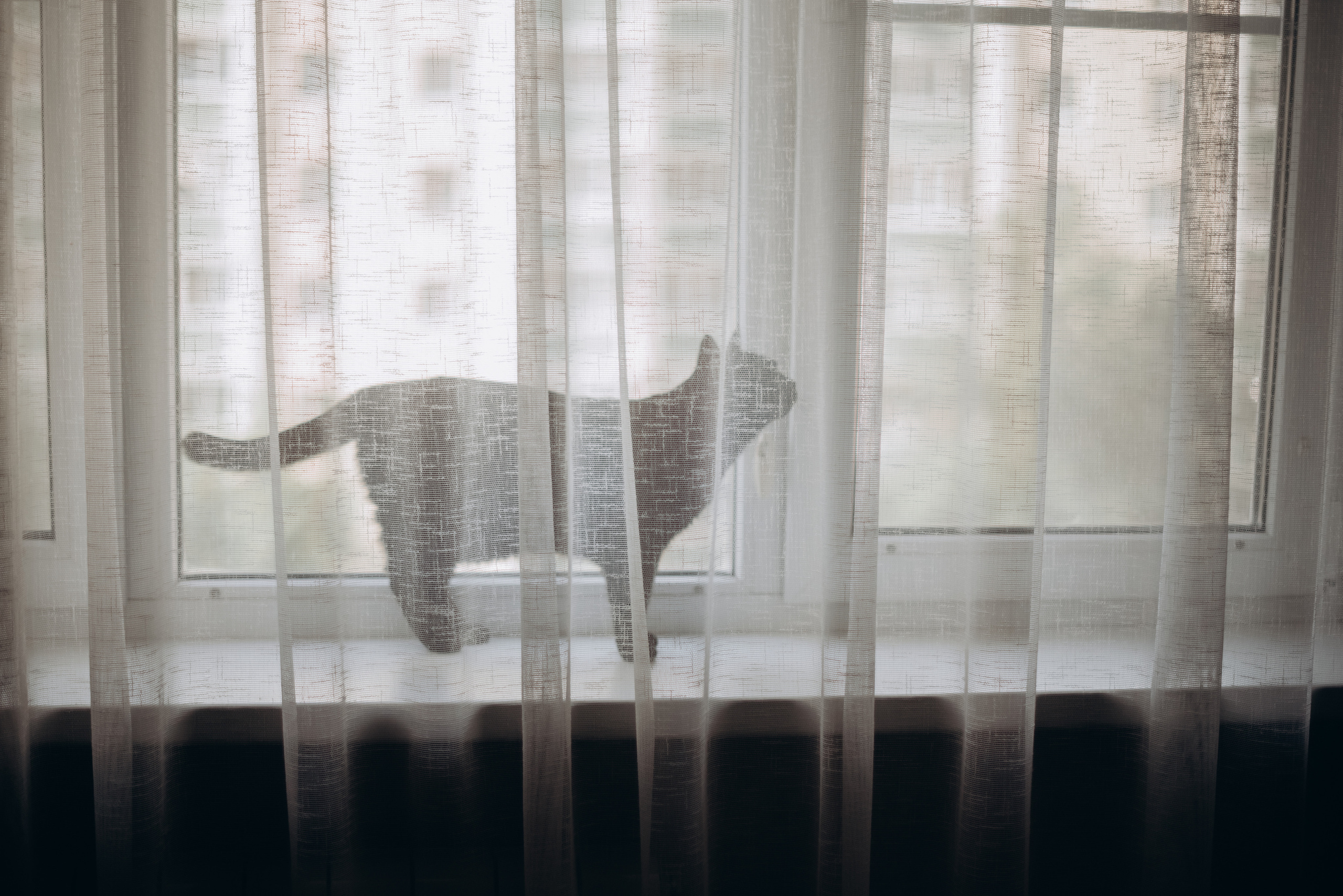 Наташа Илюша Андрей. Детский и семейный фотограф в Москве