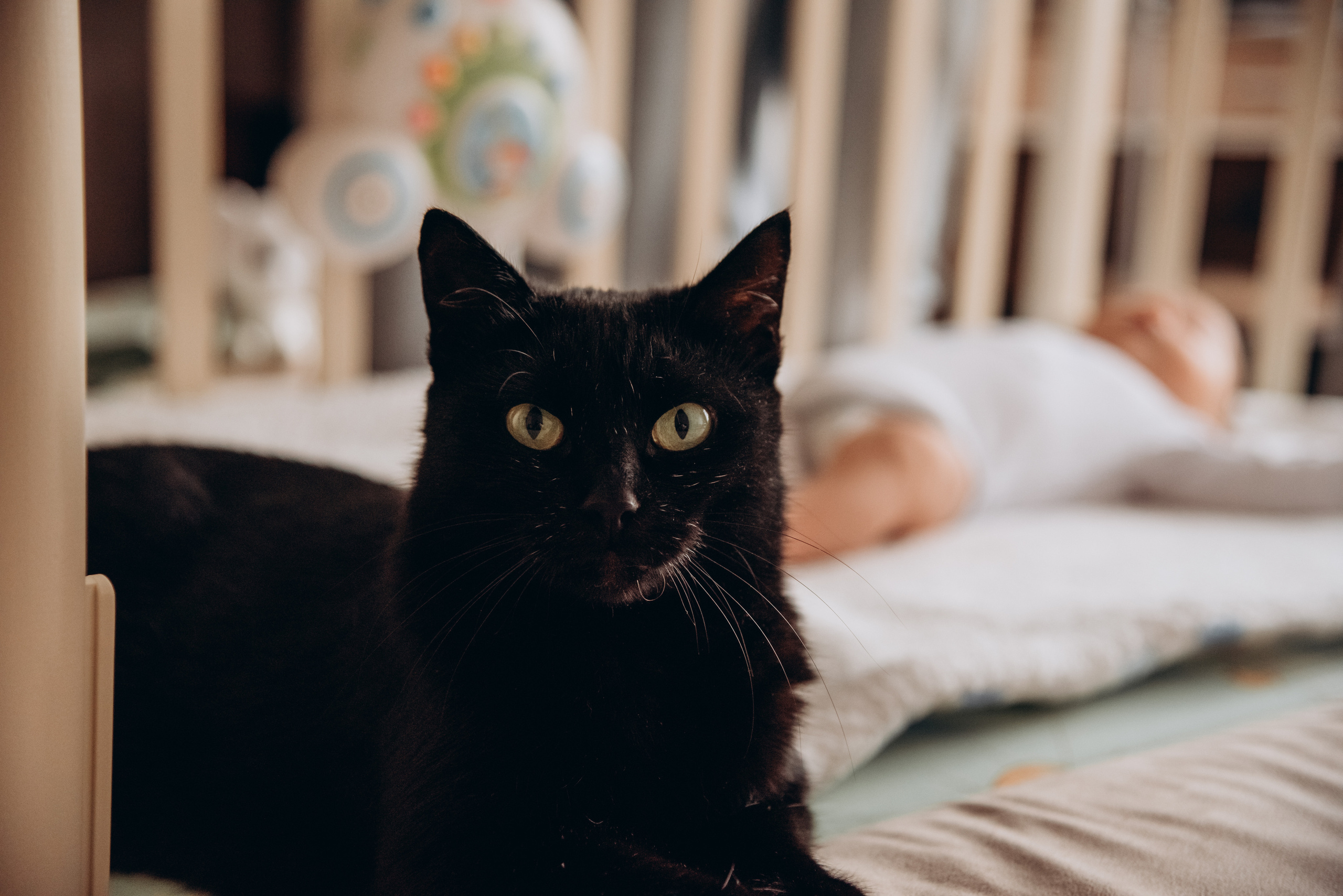 Наташа Илюша Андрей. Детский и семейный фотограф в Москве