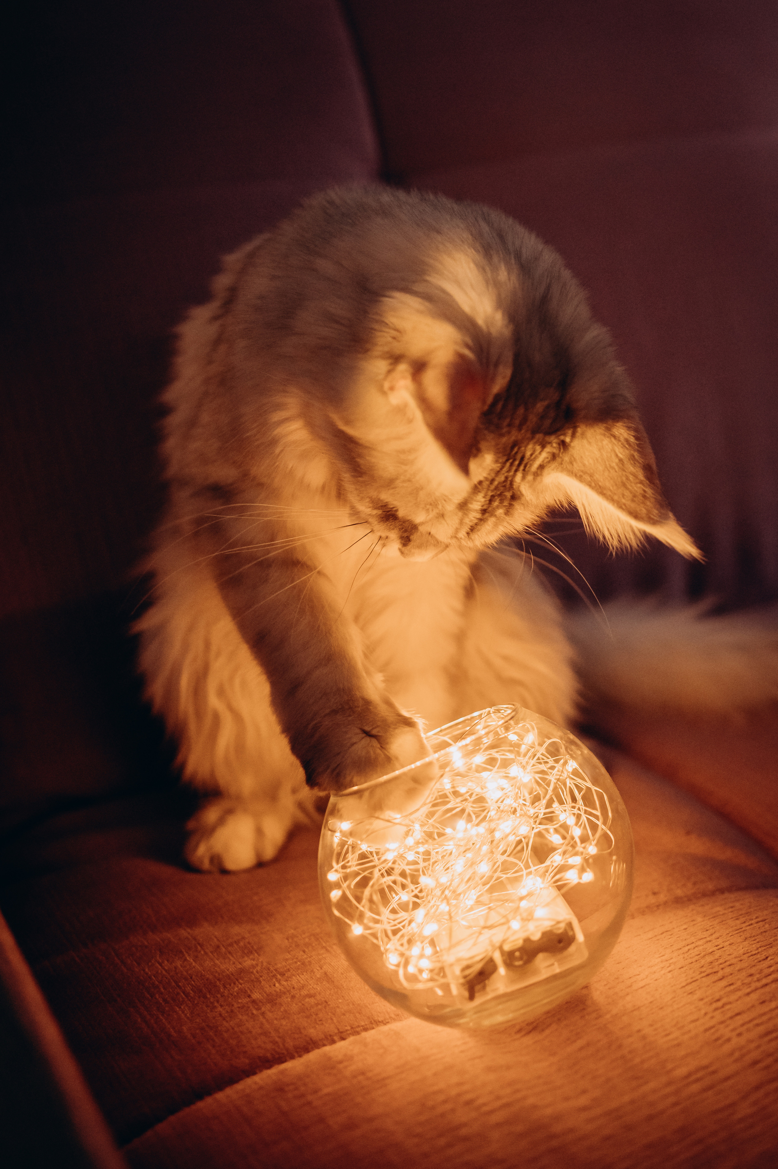 Настя Андрей Ромашка. Детский и семейный фотограф в Москве