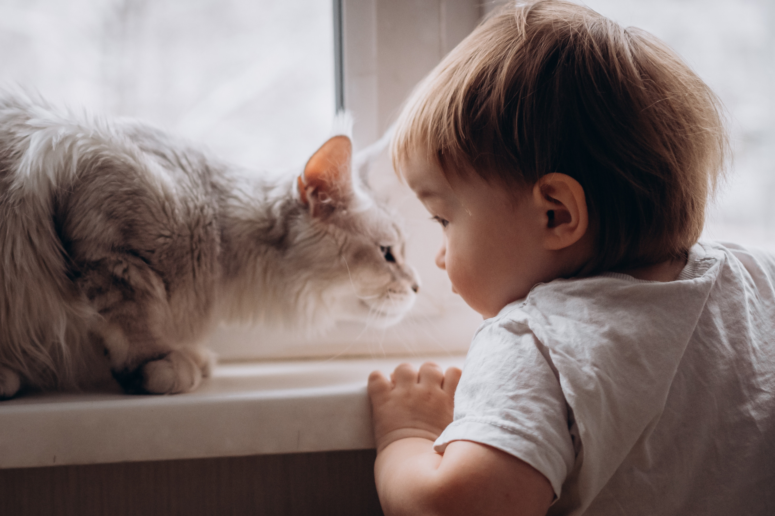 Настя Андрей Ромашка. Детский и семейный фотограф в Москве