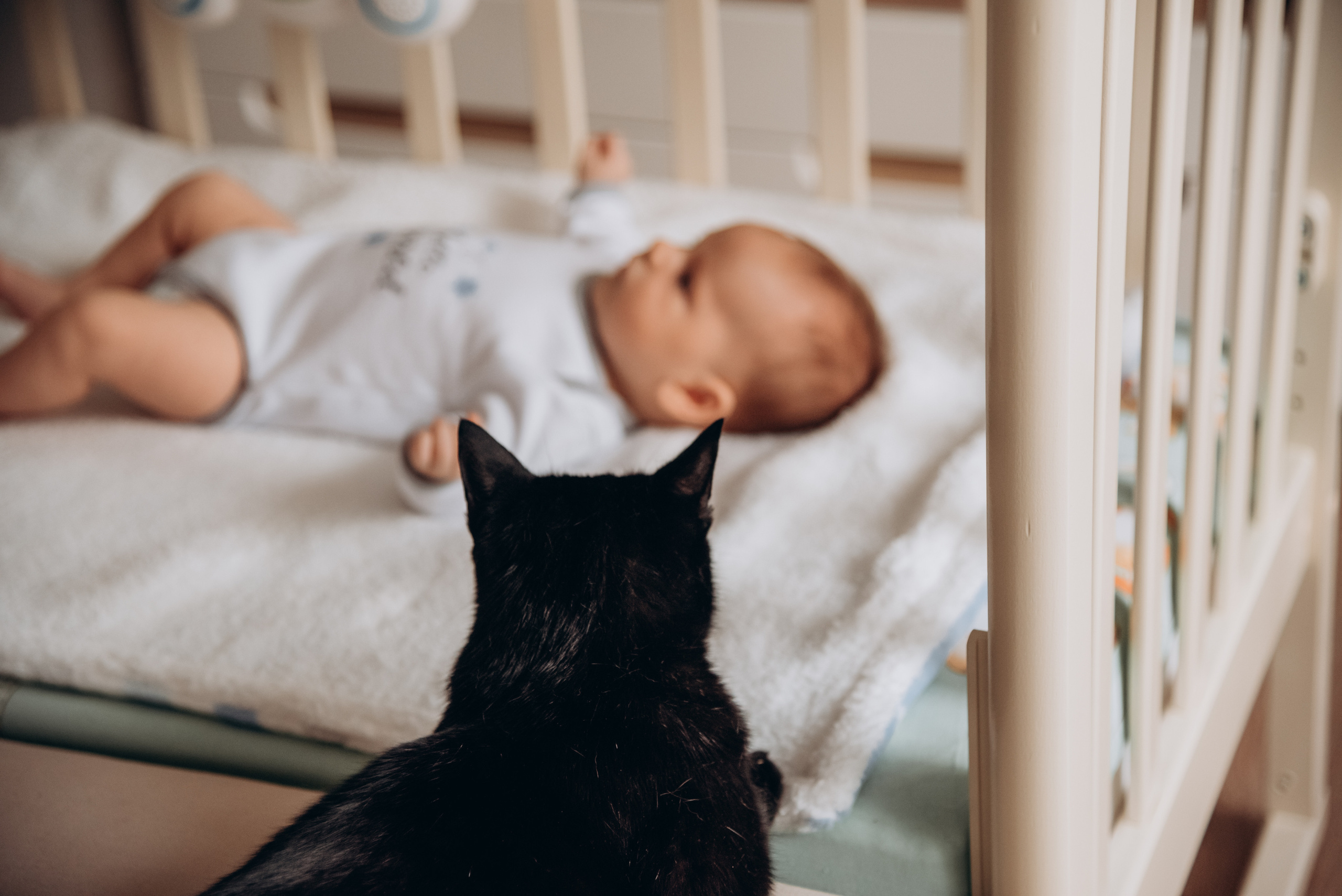 Наташа Илюша Андрей. Детский и семейный фотограф в Москве